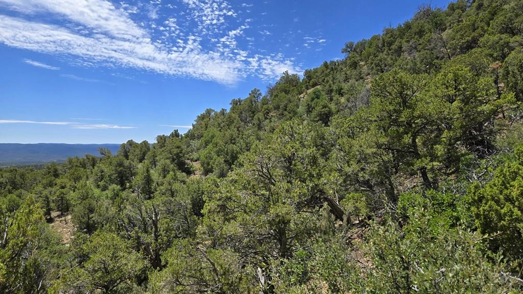 15 Picketwire Road Boncarbo, CO 81024 - Photo 8 of 21 a view of a city with lush green forest