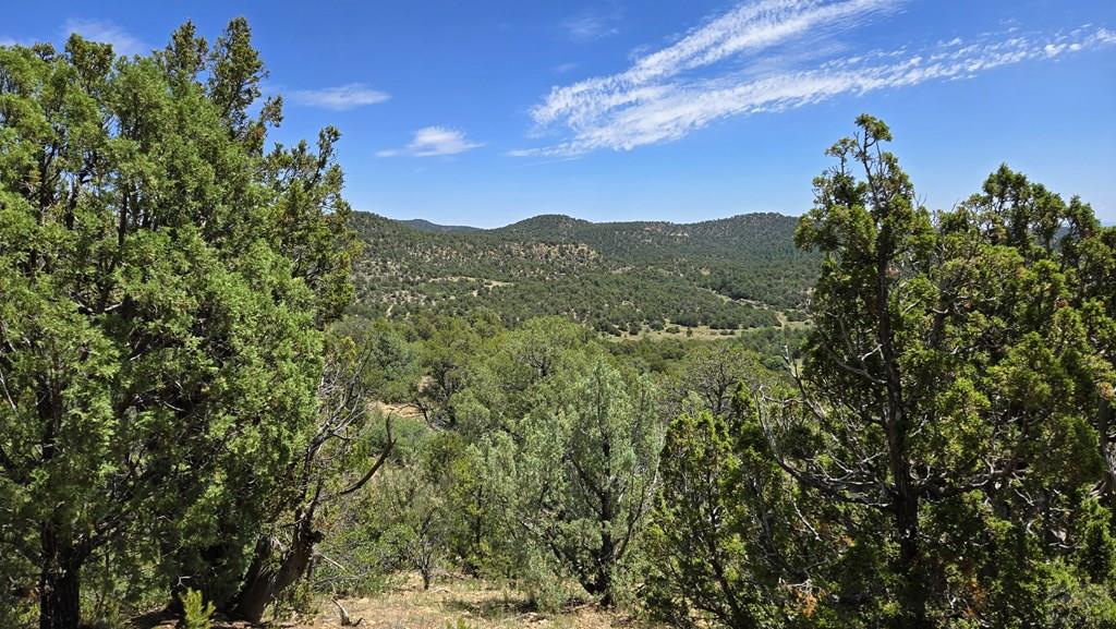 15 Picketwire Road Boncarbo, CO 81024 - Photo 9 of 21 a view of a city with lush green forest