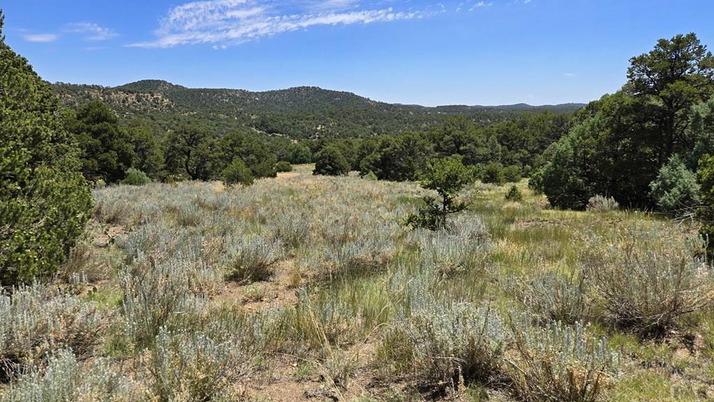 15 Picketwire Road Boncarbo, CO 81024 - Photo 10 of 21 a view of a dry yard with mountains in the background
