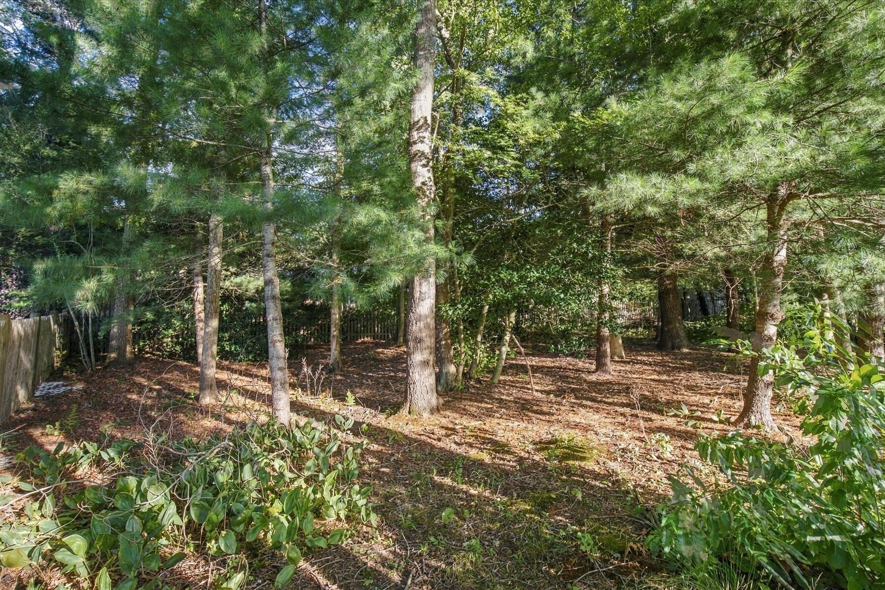 402 Prince Hinckley Road Centerville, MA 02632 - Photo 5 of 30 Wooded Area