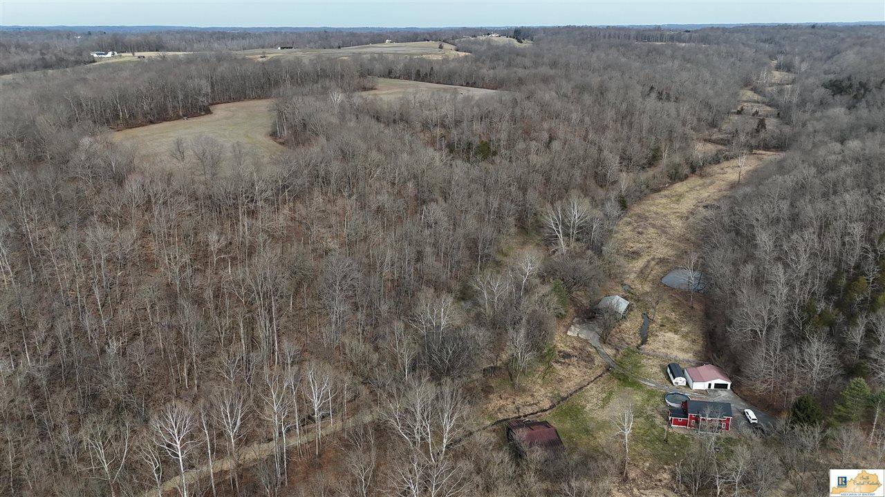 439 Spout Springs Road Knifley, KY 42753 - Photo 76 of 92 Gallery Image 76