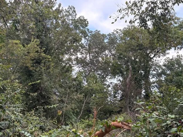 $45,000 | 248 Buena Vista Drive, Chattanooga, TN 37404