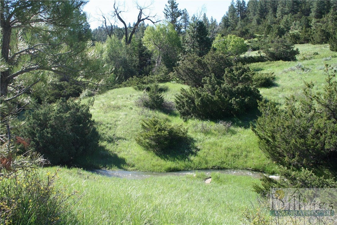 Lot 19 Nighthawk Reed Point Reed Point, MT 59069 - Photo 1 of 1 Gallery Image 1