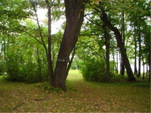 39361 Little Mo Road Clitherall, MN 56524 - Photo 11 of 12 Gallery Image 11