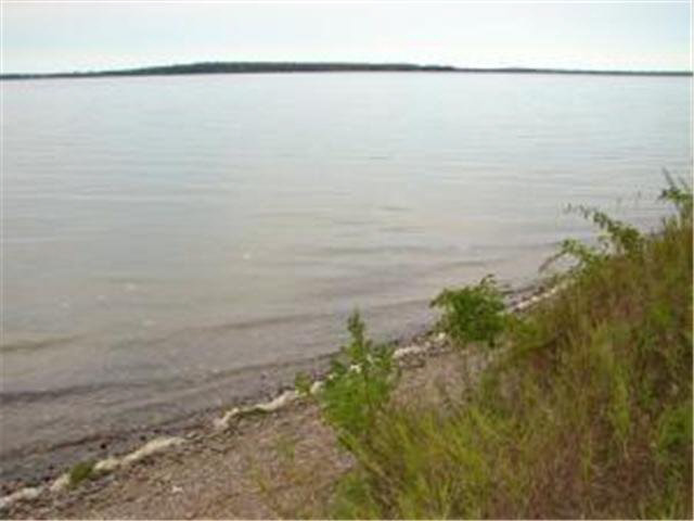 39361 Little Mo Road Clitherall, MN 56524 - Photo 2 of 12 Gallery Image 2