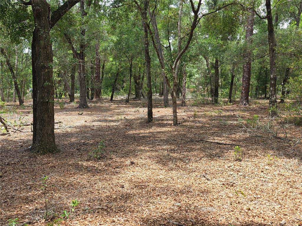 Rolling Ares Road West Lady Lake, FL 32159 - Photo 31 of 48 Gallery Image 31