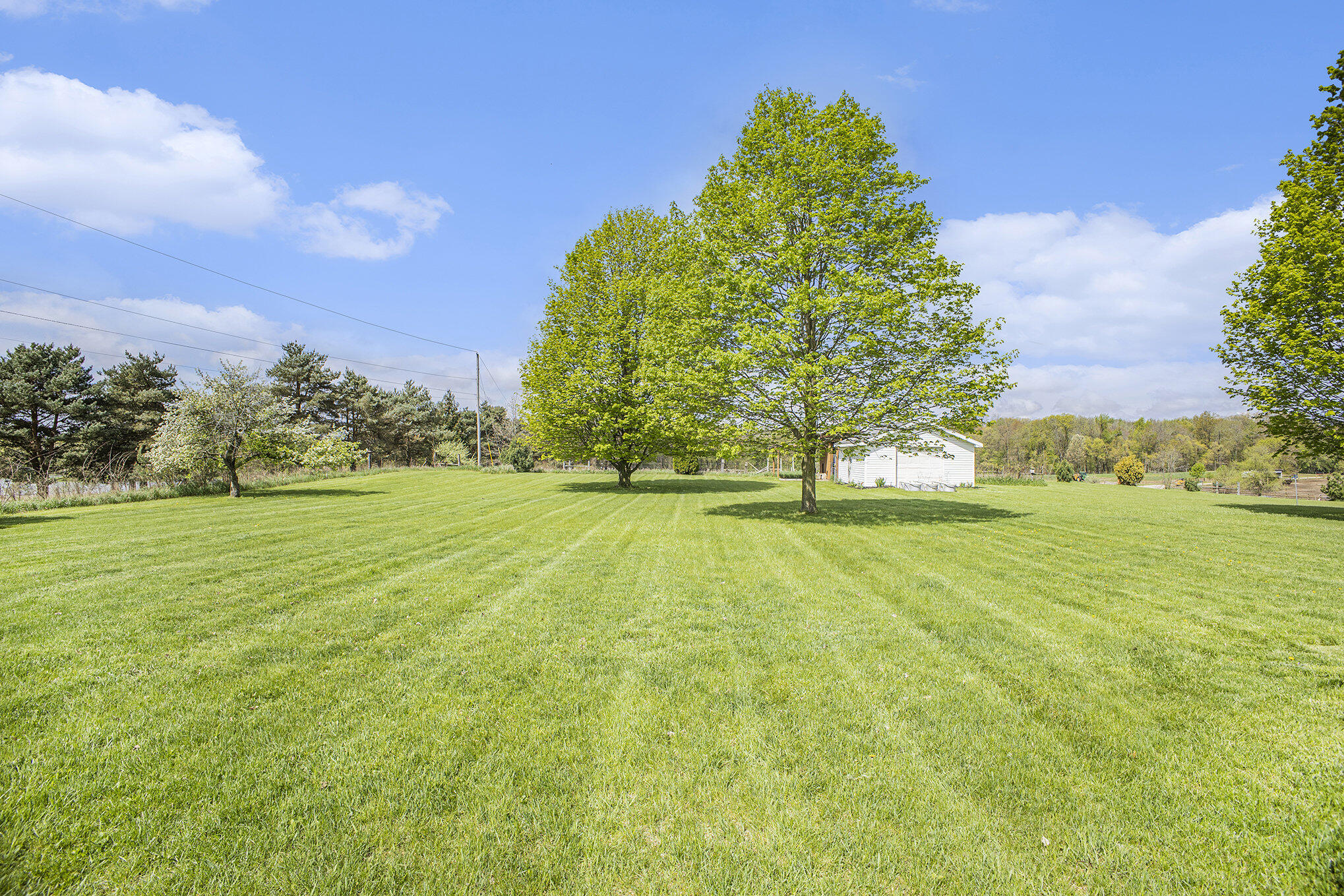 2660 Barber Road Grass Lake, MI 49240 - Photo 28 of 34 Back Yard View 1