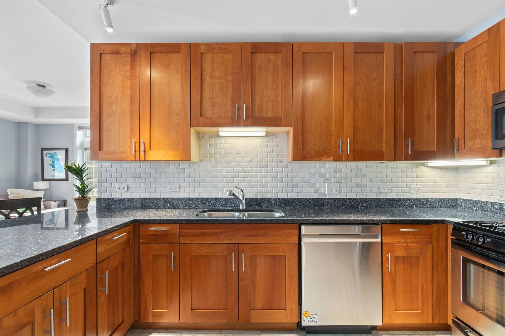 657 West Fulton Street, Unit 705 Chicago, IL 60661 - Photo 11 of 24 a kitchen with granite countertop wooden cabinets and sink