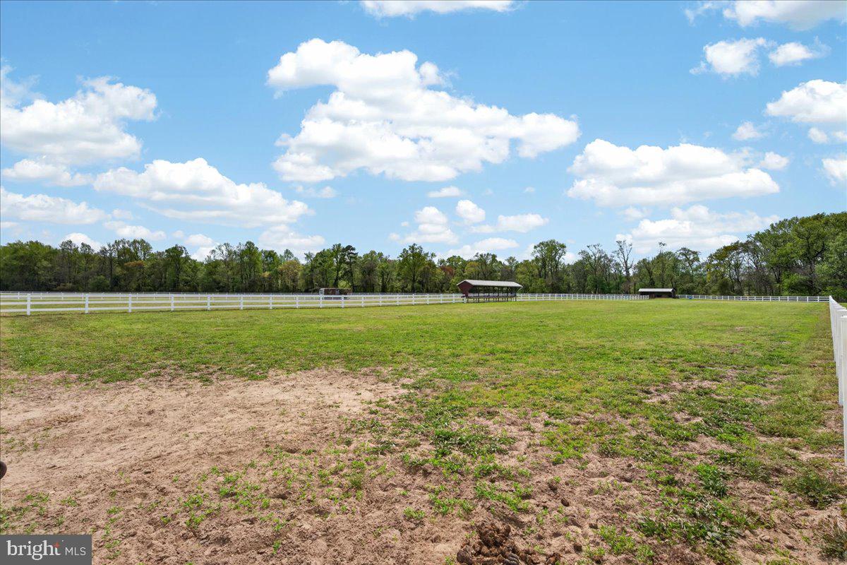 10036 Redden Road Bridgeville, DE 19933 - Photo 50 of 53 a view of a lake with a big yard