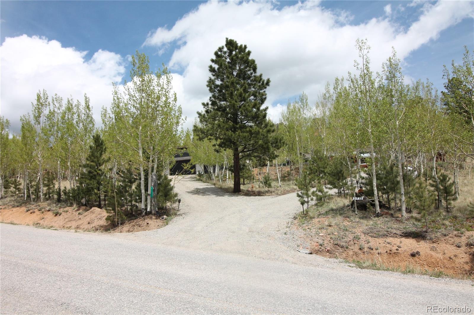 388 Clark Road Bailey, CO 80421 - Photo 50 of 50 a view of a forest with trees in the background