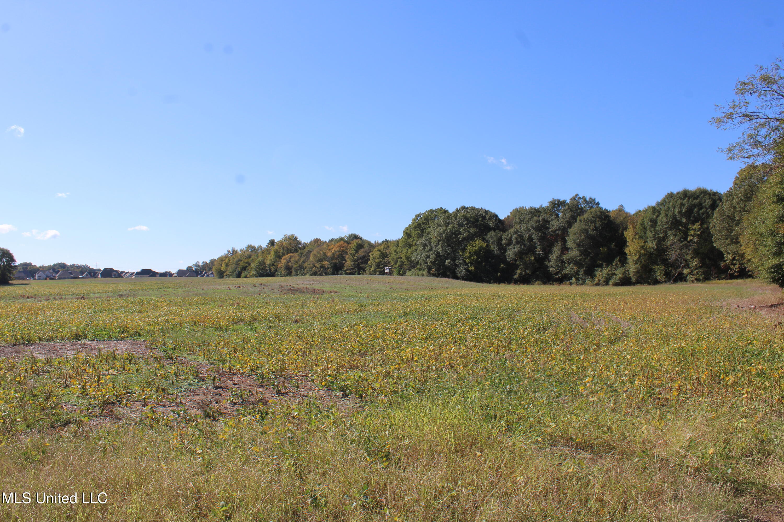 14901 Desoto Road Olive Branch, MS 38654 - Photo 1 of 27 land