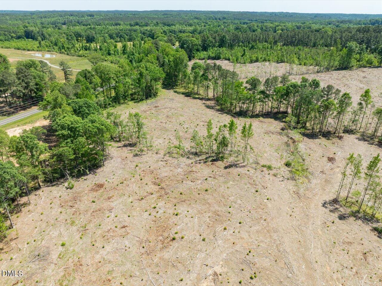 0 Lower Moncure Road Sanford, NC 27330 - Photo 16 of 21 Gallery Image 16