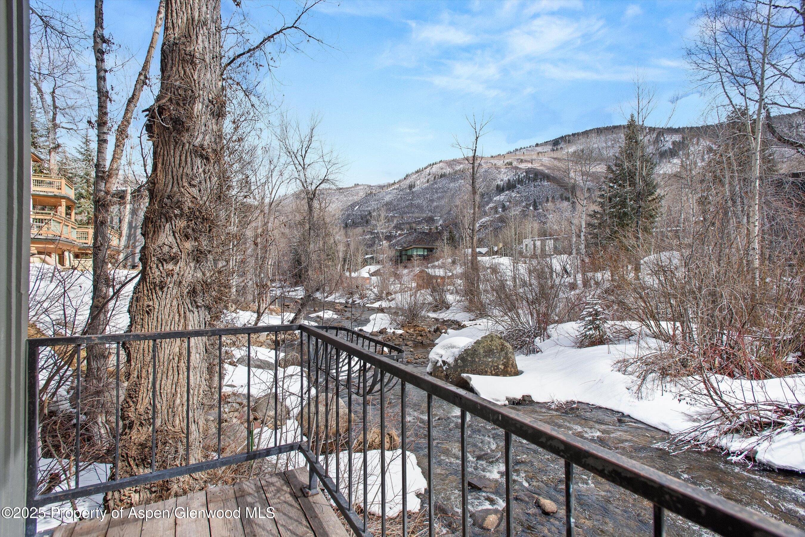 1050 Waters Avenue, Unit 9 Aspen, CO 81611 - Photo 2 of 11 River Frontage
