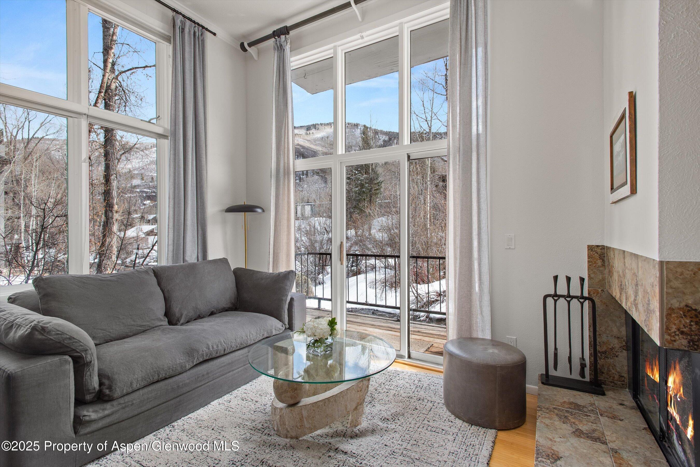 1050 Waters Avenue, Unit 9 Aspen, CO 81611 - Photo 3 of 11 Living Room