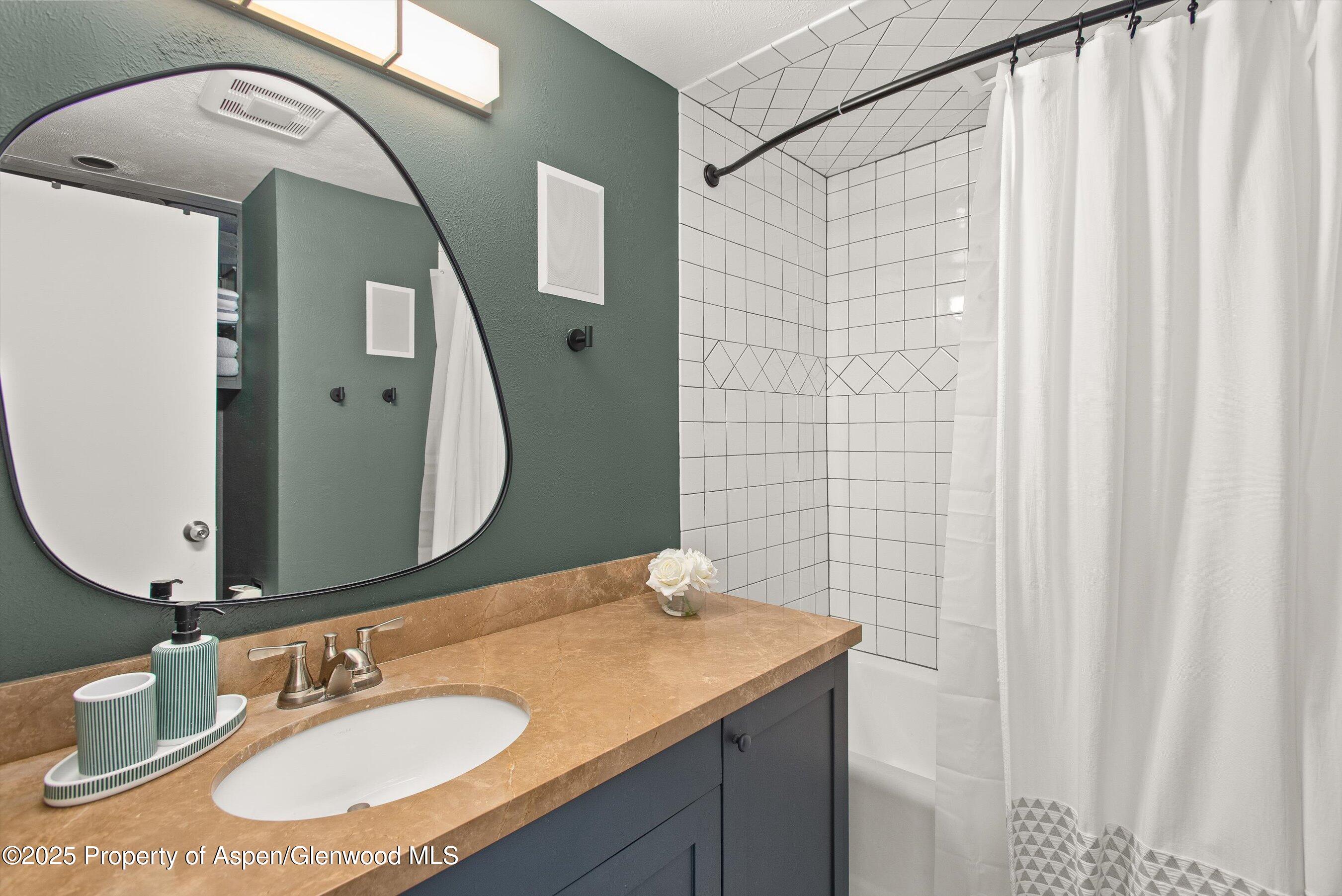 1050 Waters Avenue, Unit 9 Aspen, CO 81611 - Photo 9 of 11 Bathroom One