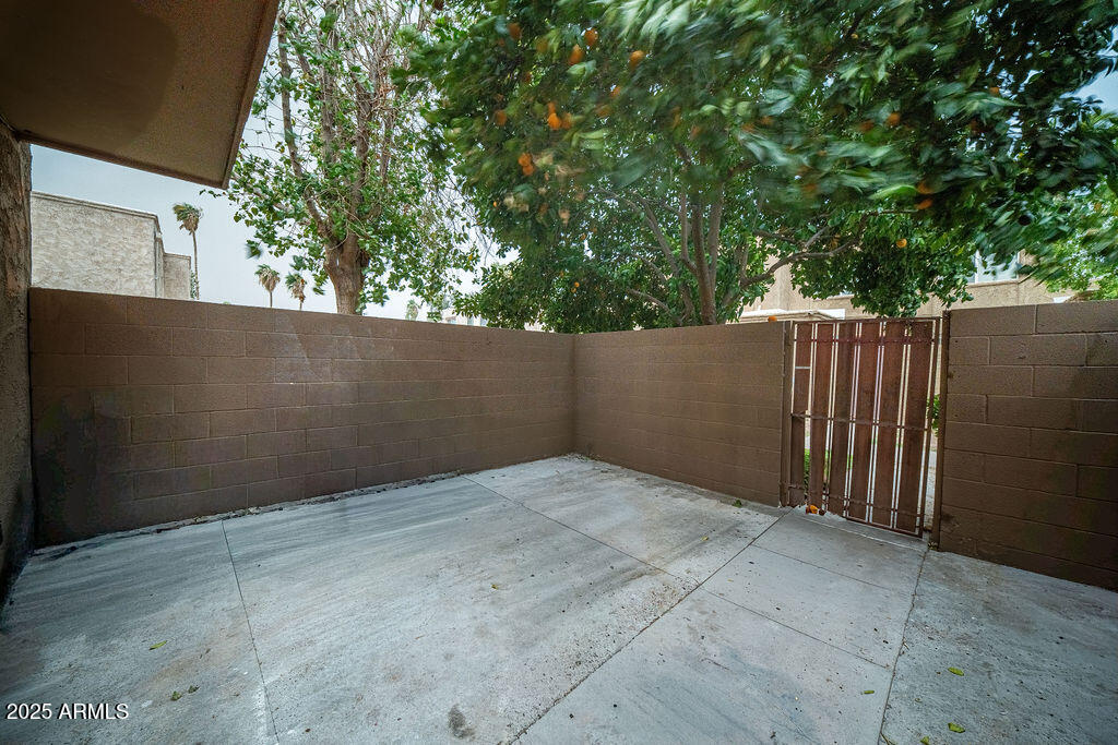 4233 North 68th Avenue Phoenix, AZ 85033 - Photo 9 of 11 a view of backyard with tree