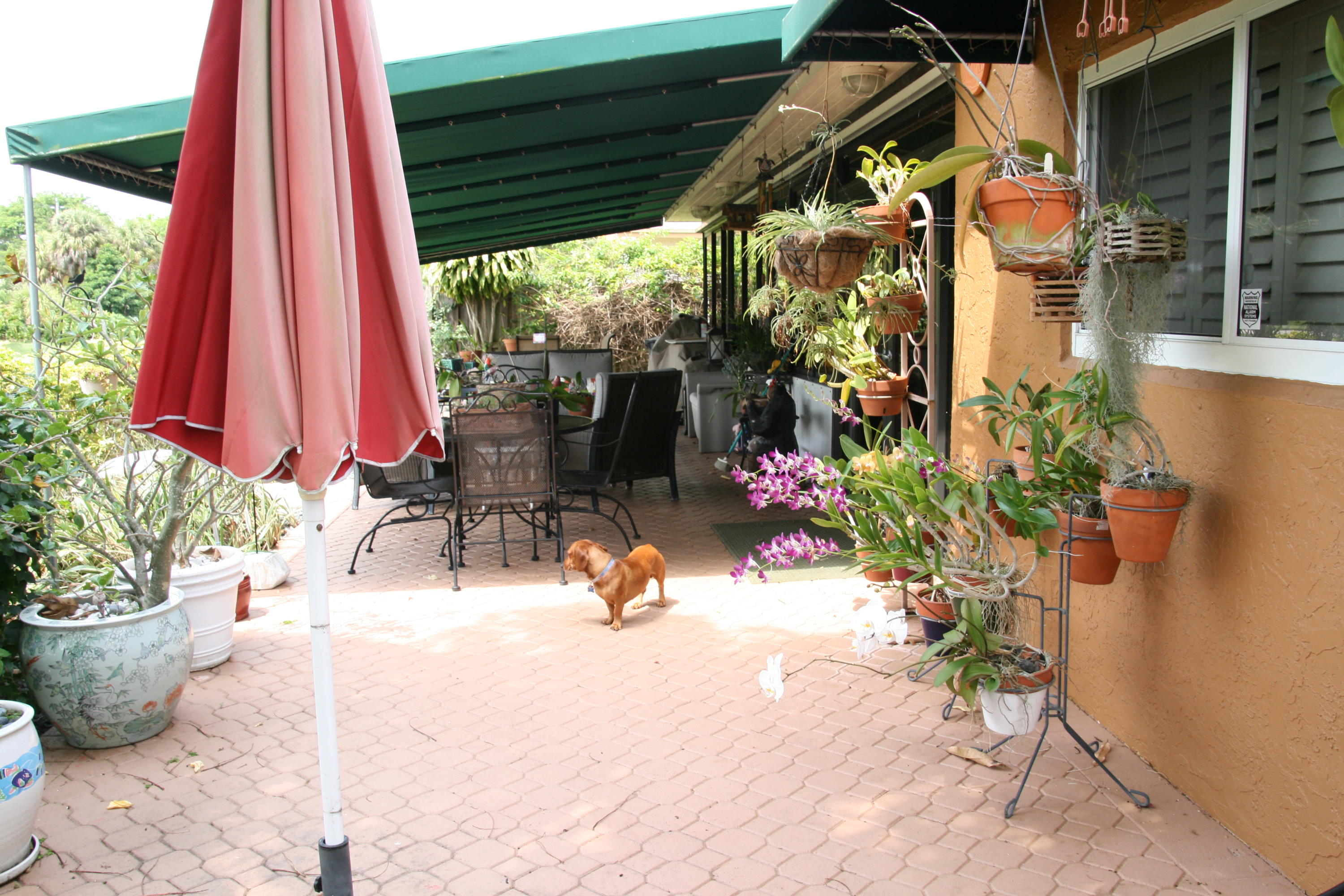 22965 Southwest 56th Avenue Boca Raton, FL 33433 - Photo 8 of 12 Patio