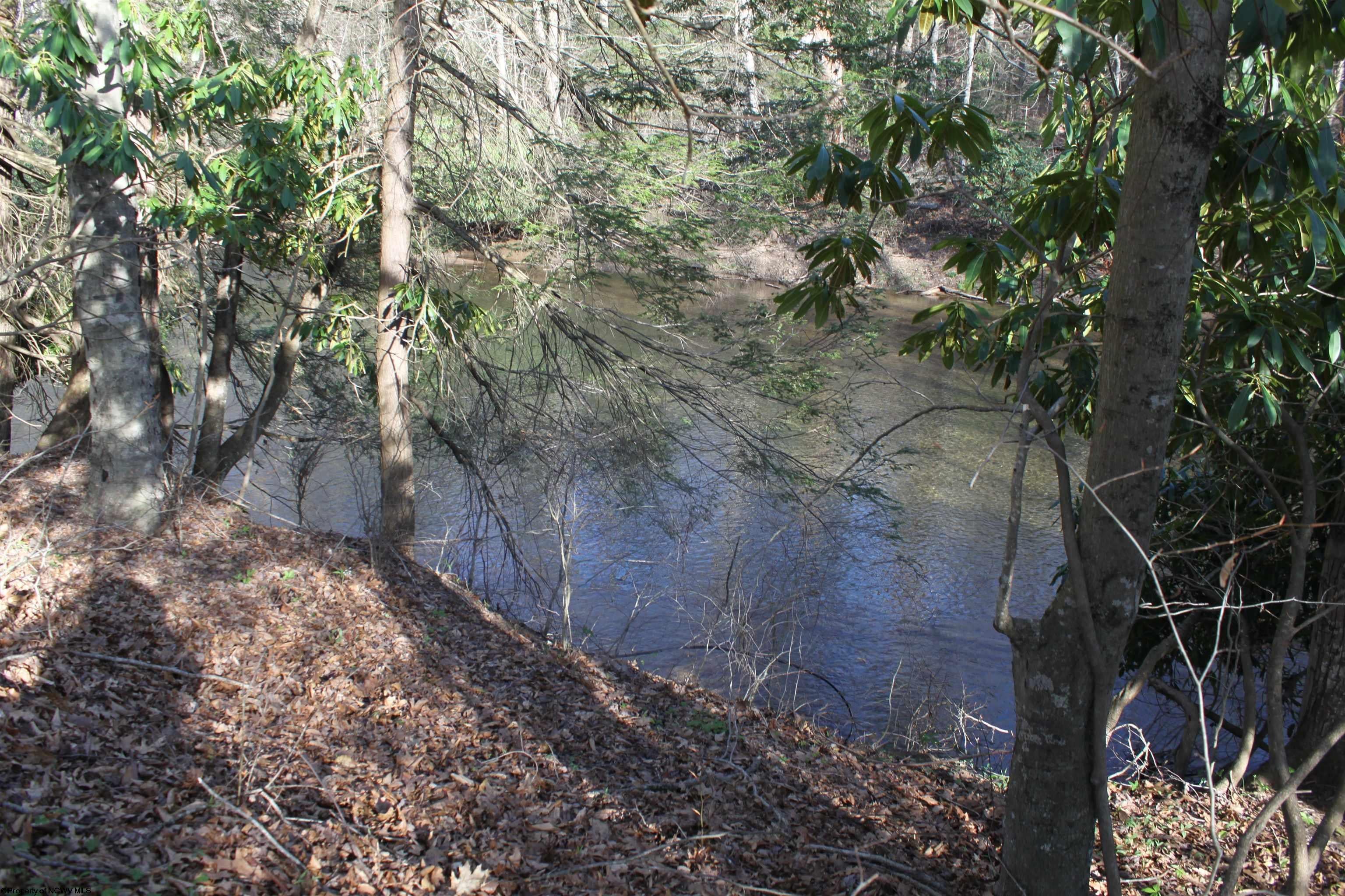 1625 Gauley River Road Webster Springs, WV 26288 - Photo 1 of 23 Gallery Image 1