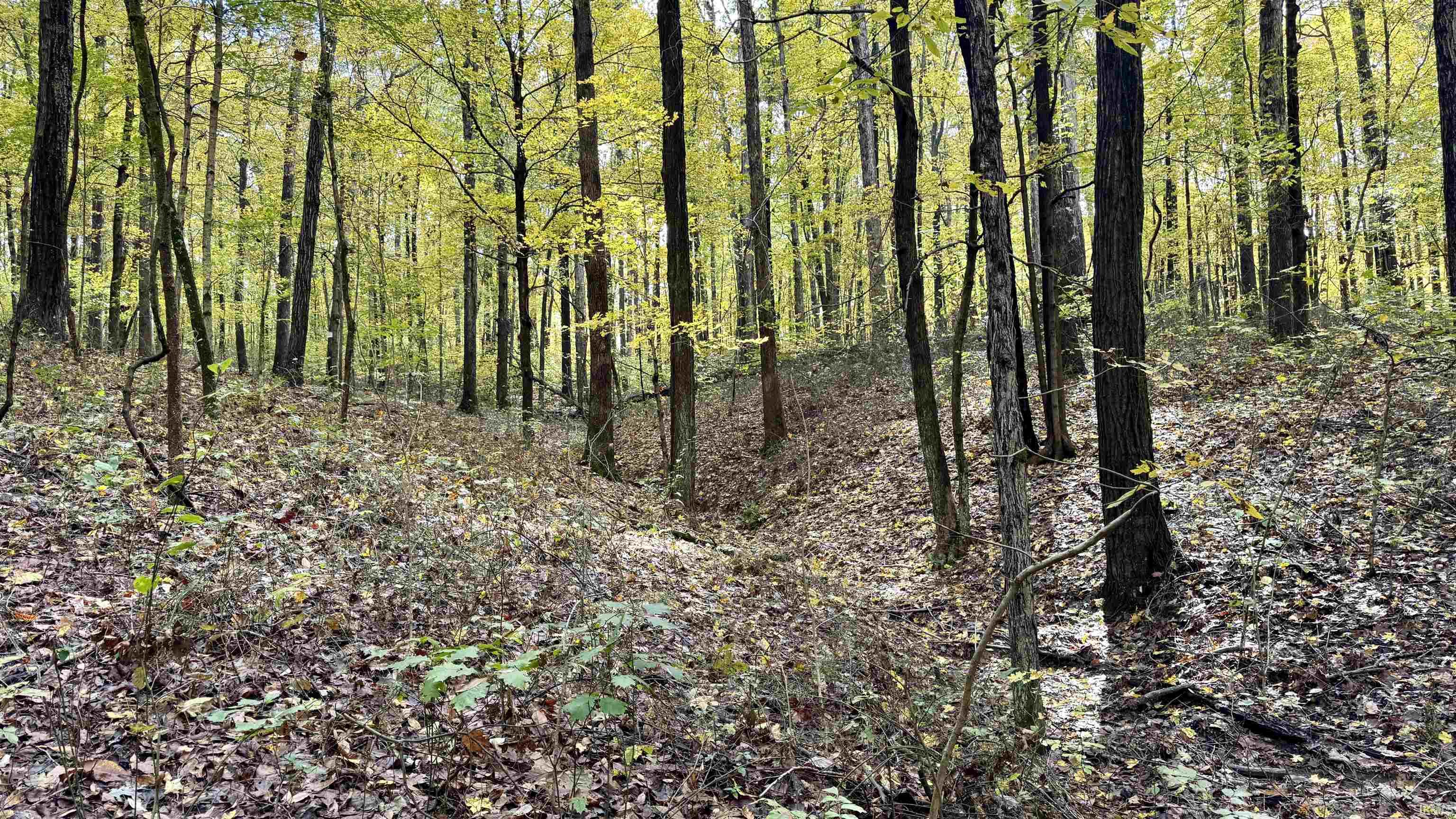 Off North St Peters Church Road Evanston, IN 47531 - Photo 11 of 31