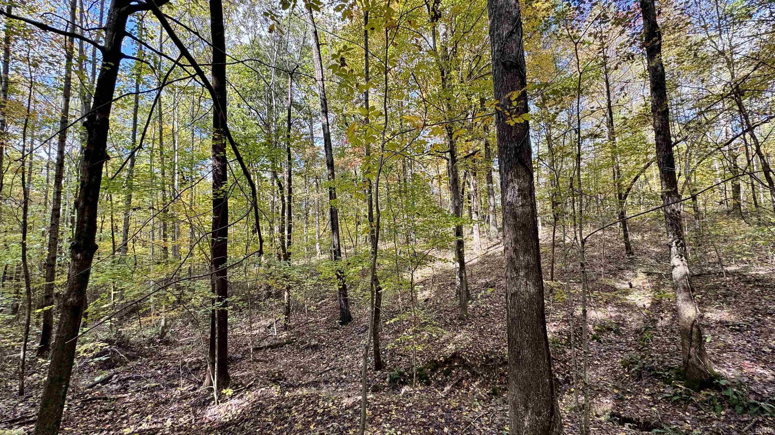 Off North St Peters Church Road Evanston, IN 47531 - Photo 13 of 31