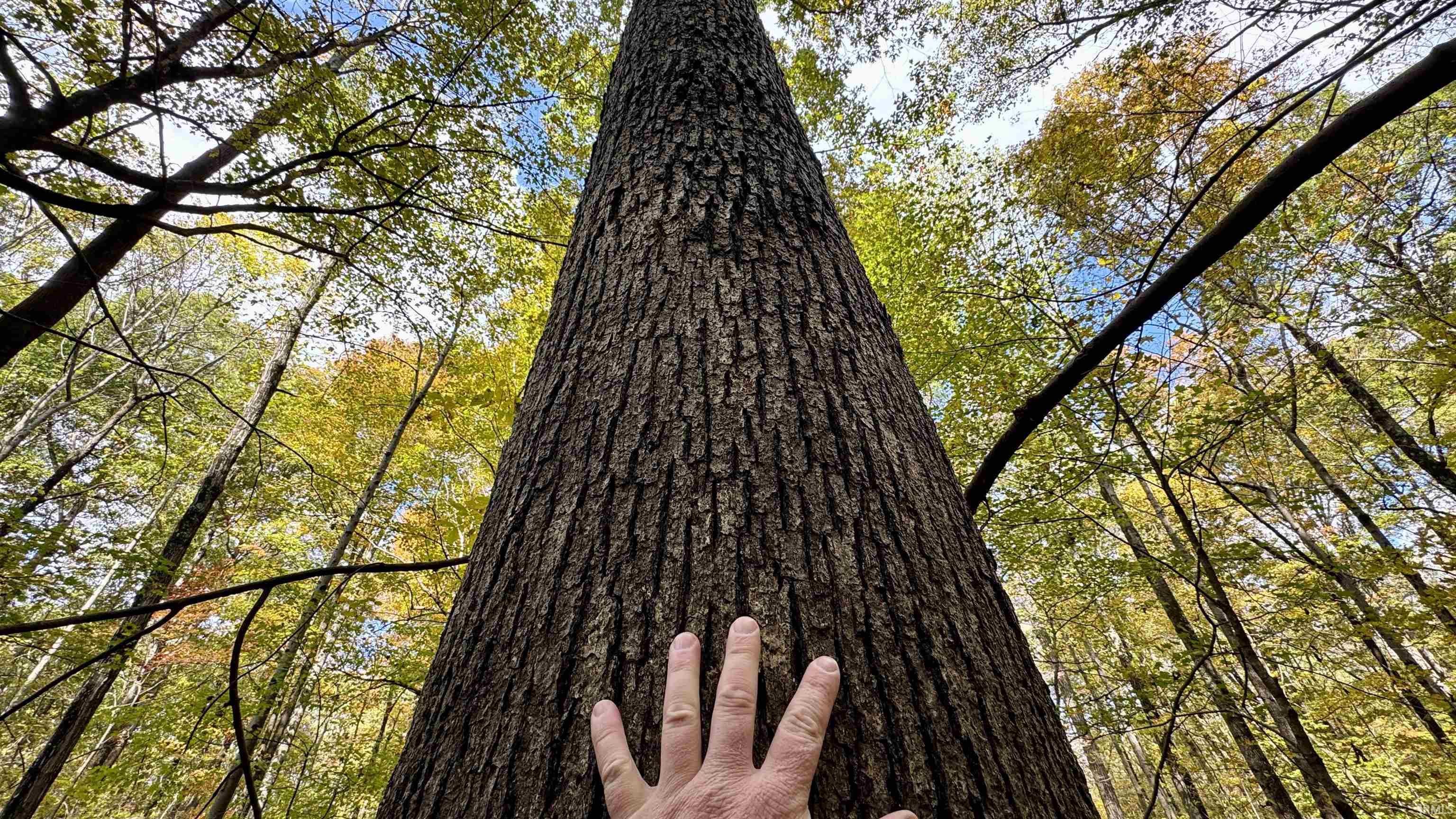 Off North St Peters Church Road Evanston, IN 47531 - Photo 14 of 31