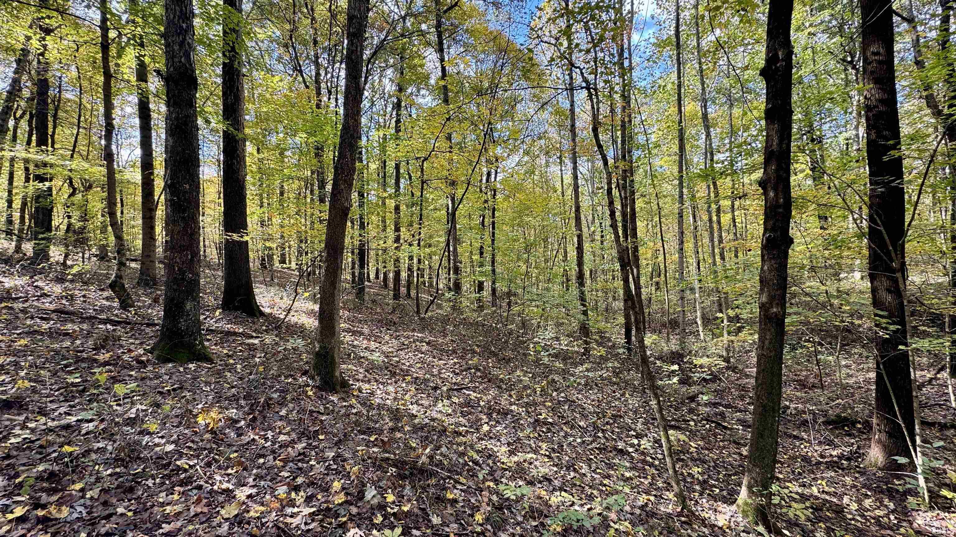 Off North St Peters Church Road Evanston, IN 47531 - Photo 15 of 31