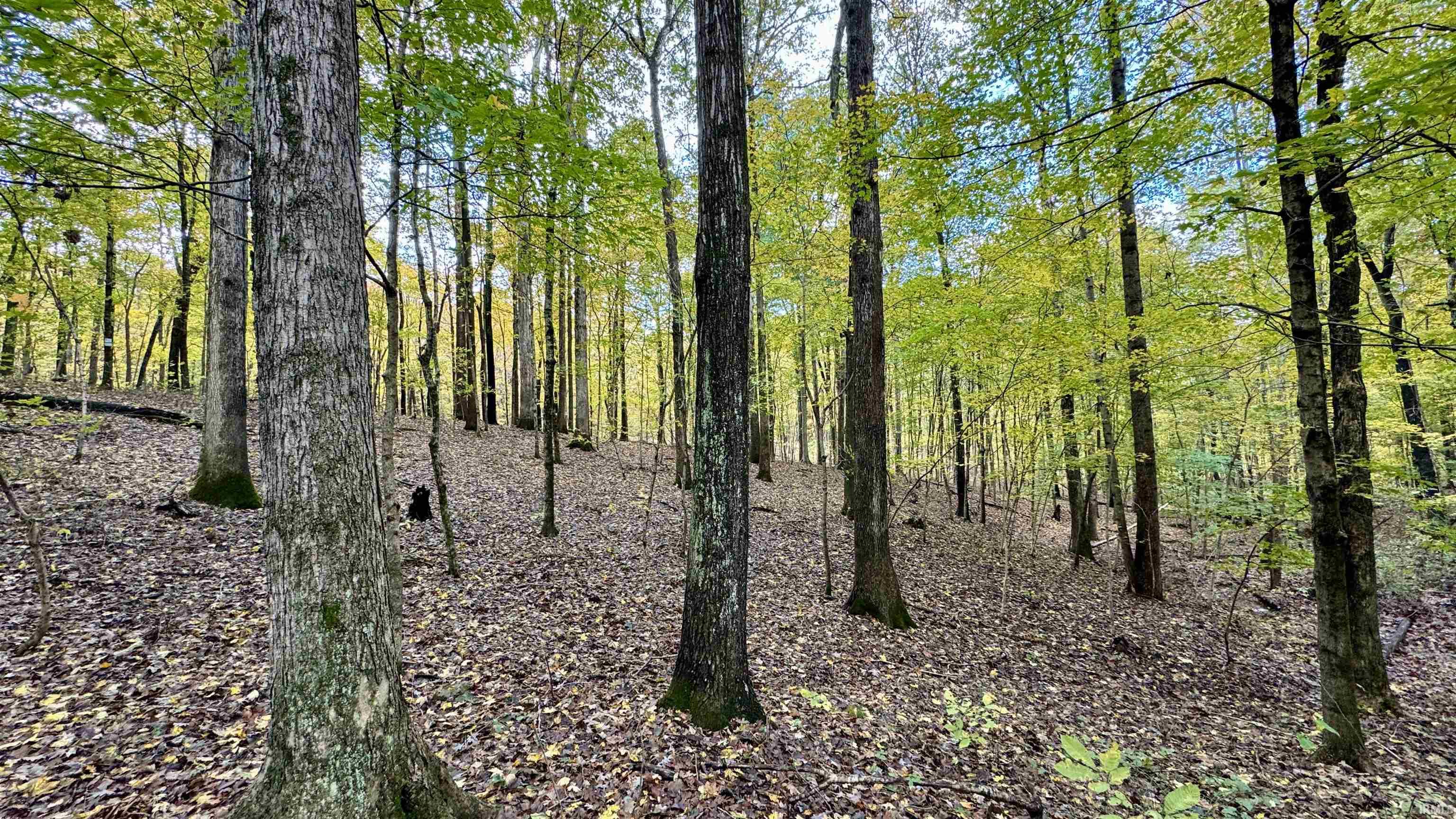 Off North St Peters Church Road Evanston, IN 47531 - Photo 16 of 31