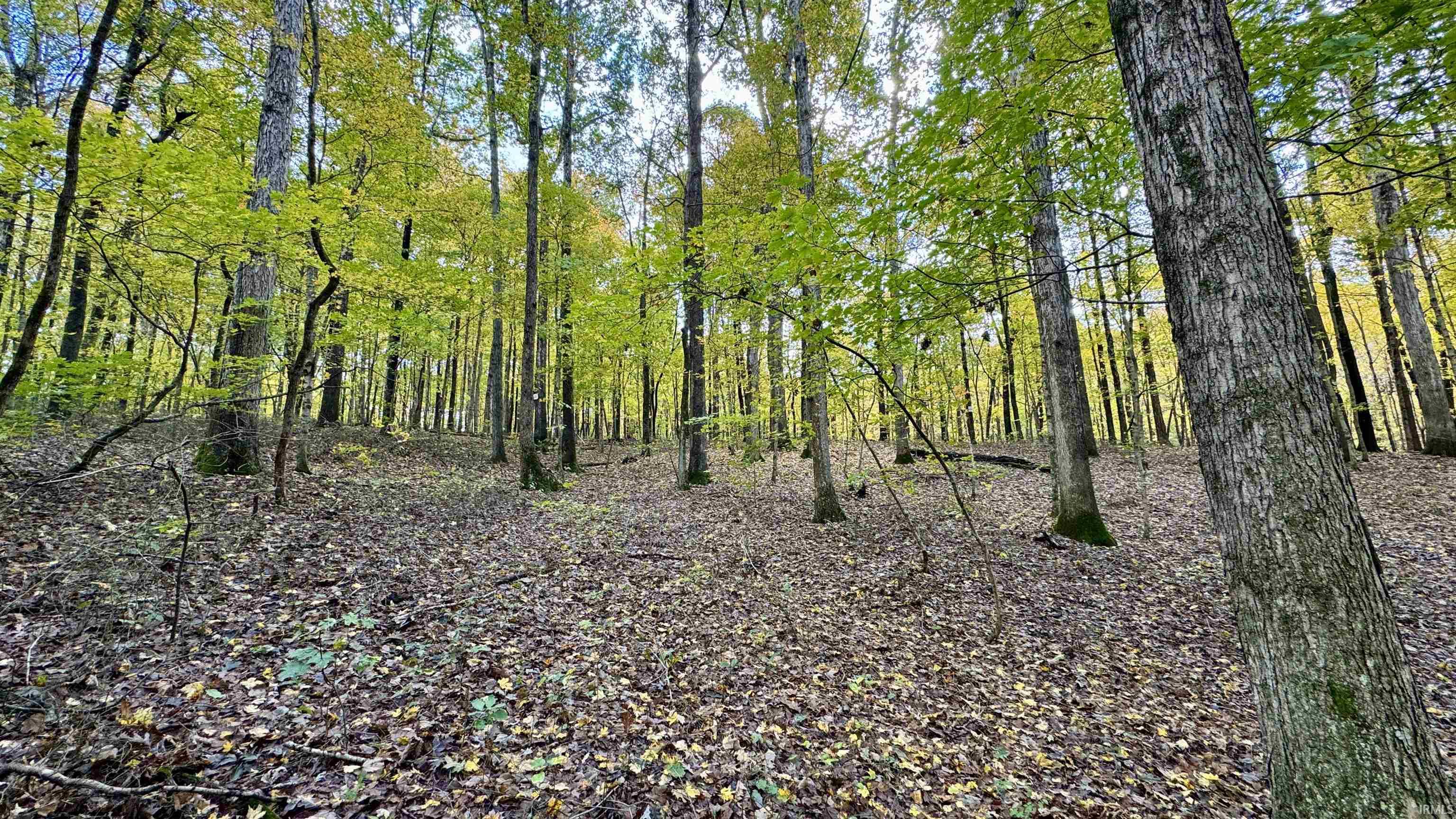 Off North St Peters Church Road Evanston, IN 47531 - Photo 17 of 31