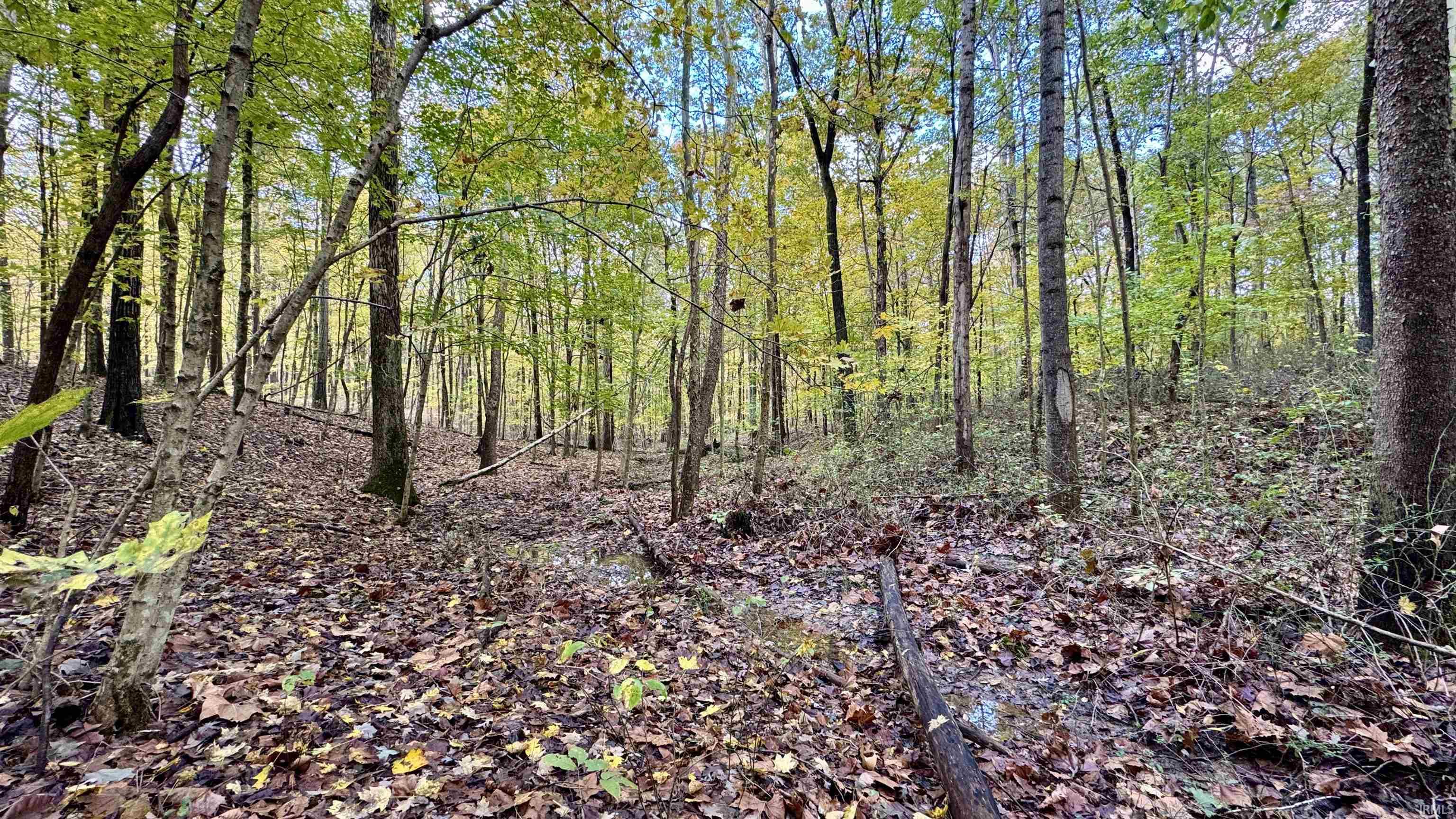 Off North St Peters Church Road Evanston, IN 47531 - Photo 18 of 31