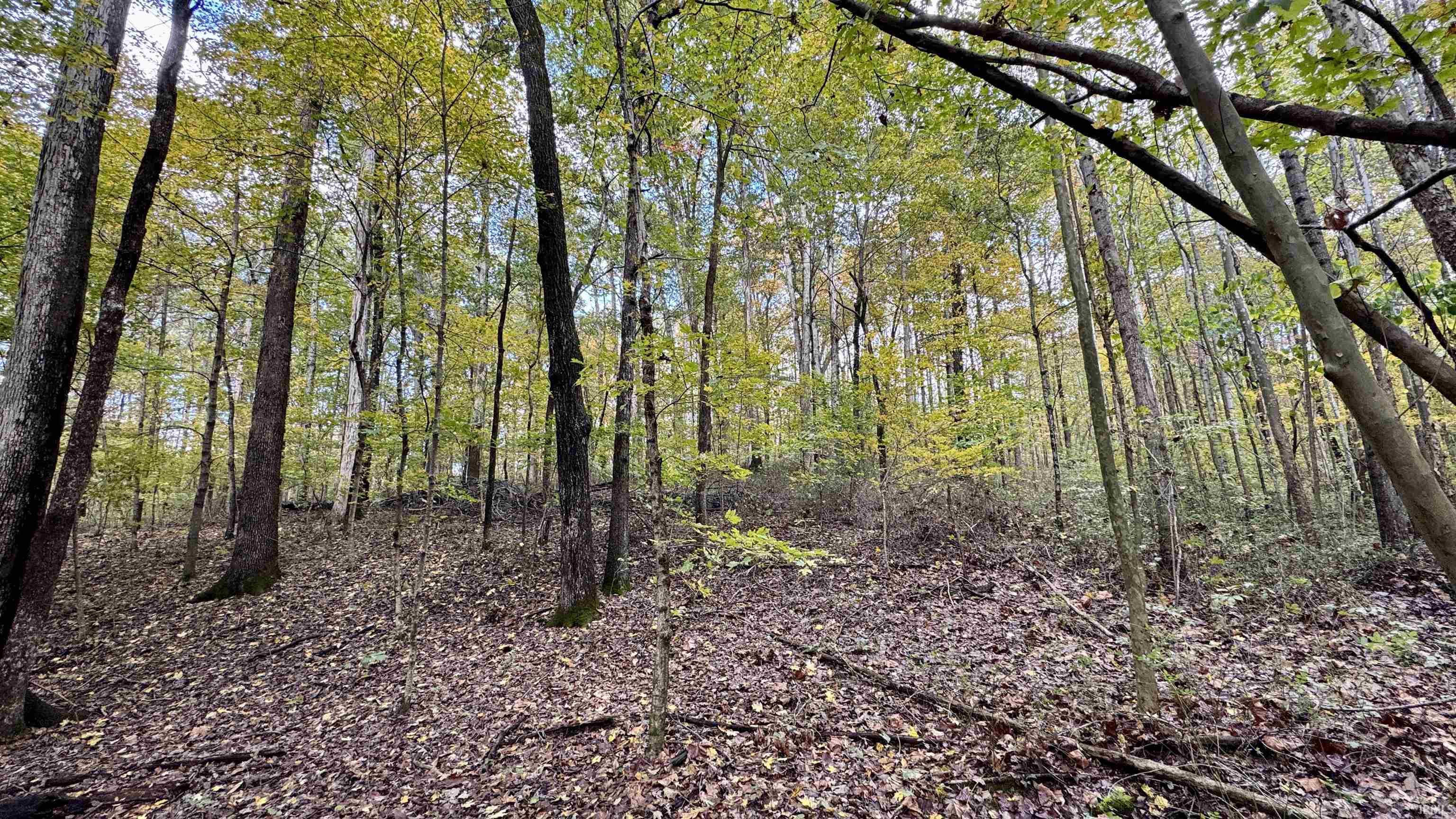 Off North St Peters Church Road Evanston, IN 47531 - Photo 19 of 31