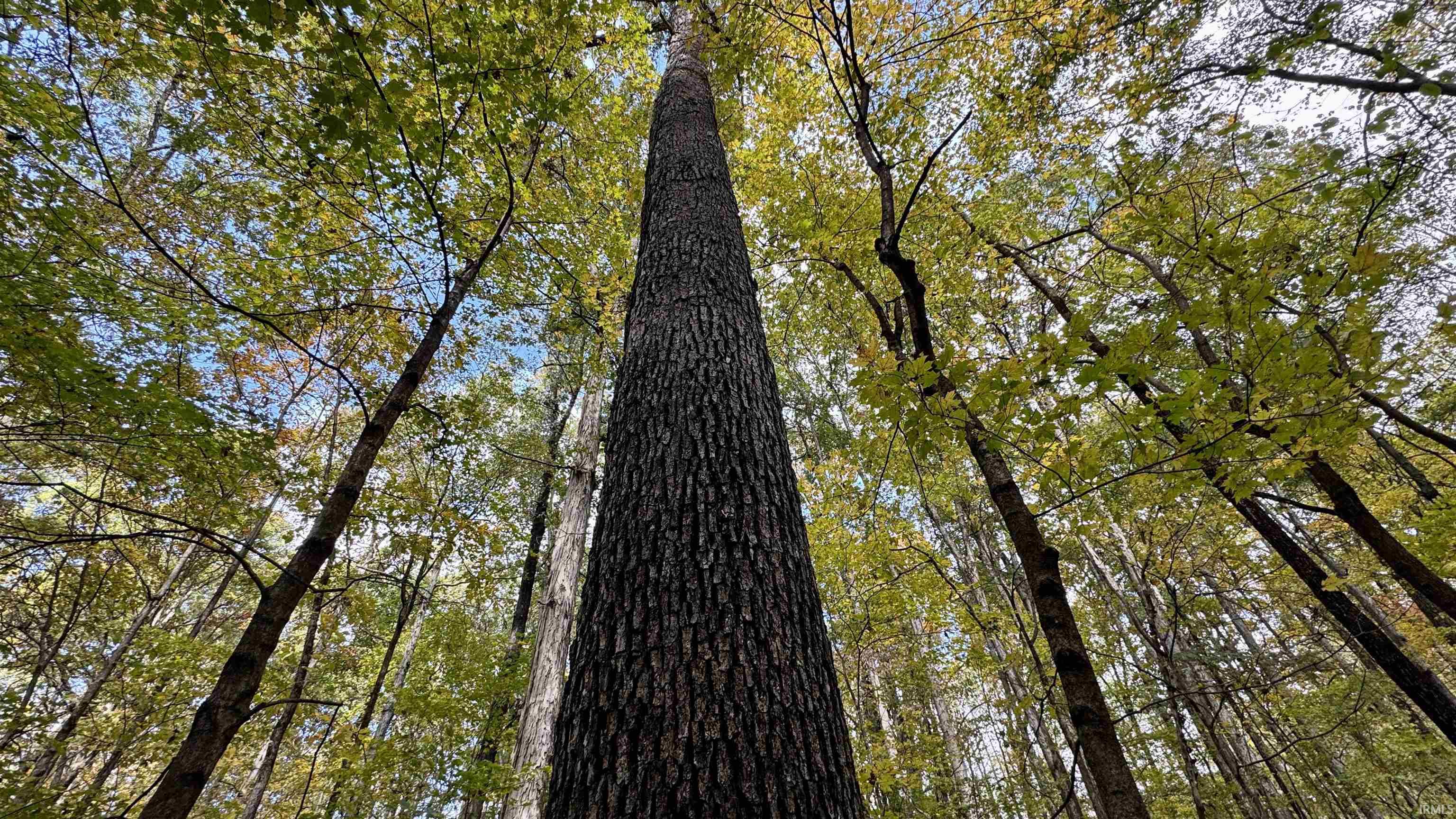 Off North St Peters Church Road Evanston, IN 47531 - Photo 20 of 31