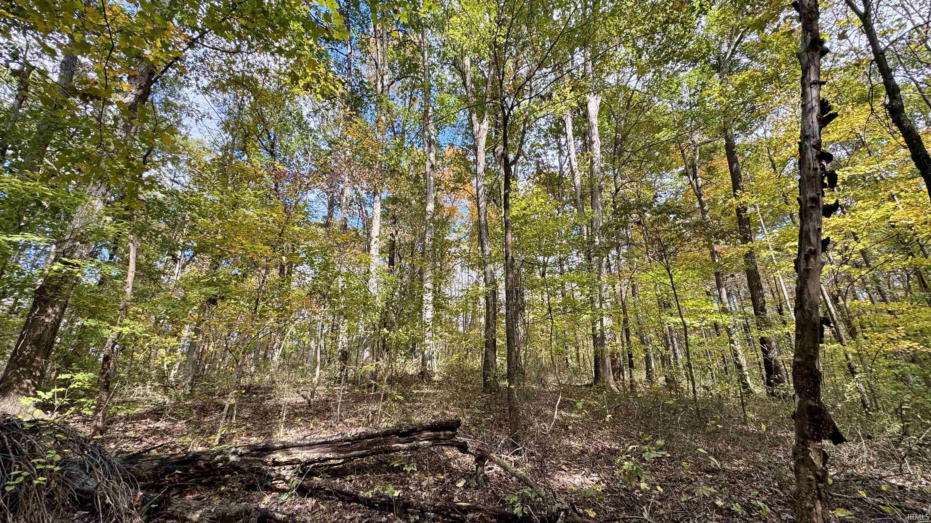 Off North St Peters Church Road Evanston, IN 47531 - Photo 21 of 31