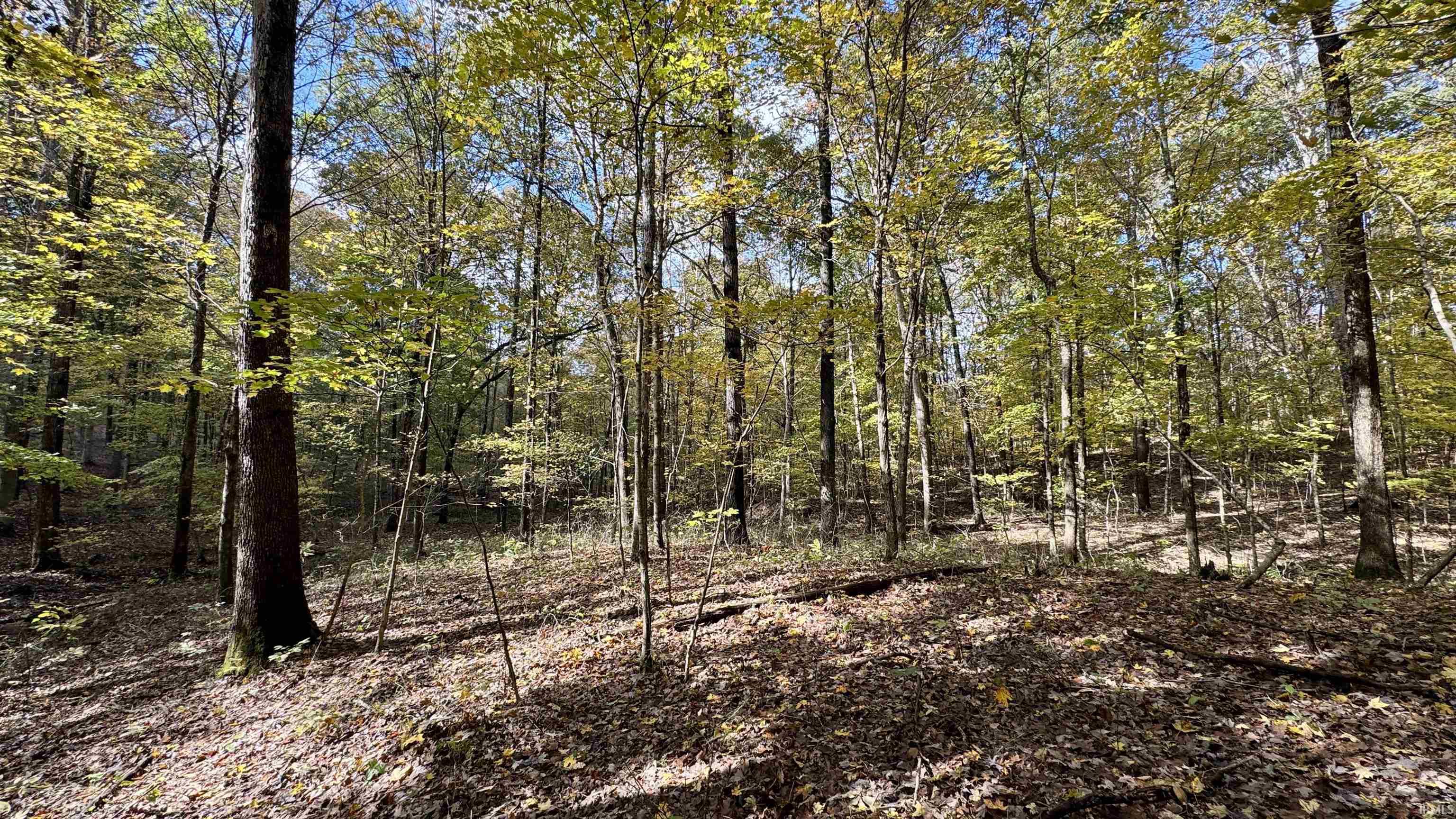 Off North St Peters Church Road Evanston, IN 47531 - Photo 22 of 31