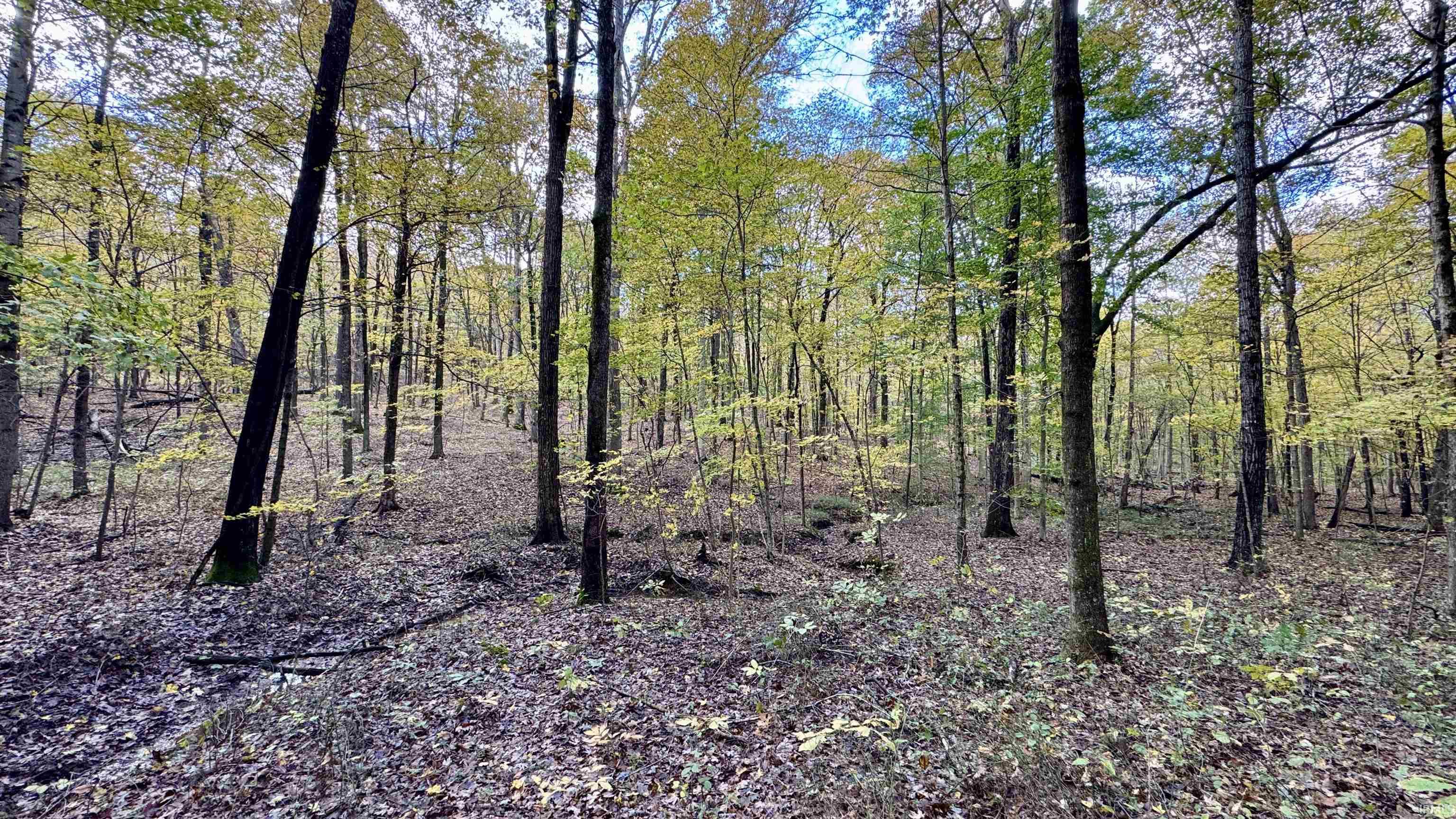 Off North St Peters Church Road Evanston, IN 47531 - Photo 23 of 31