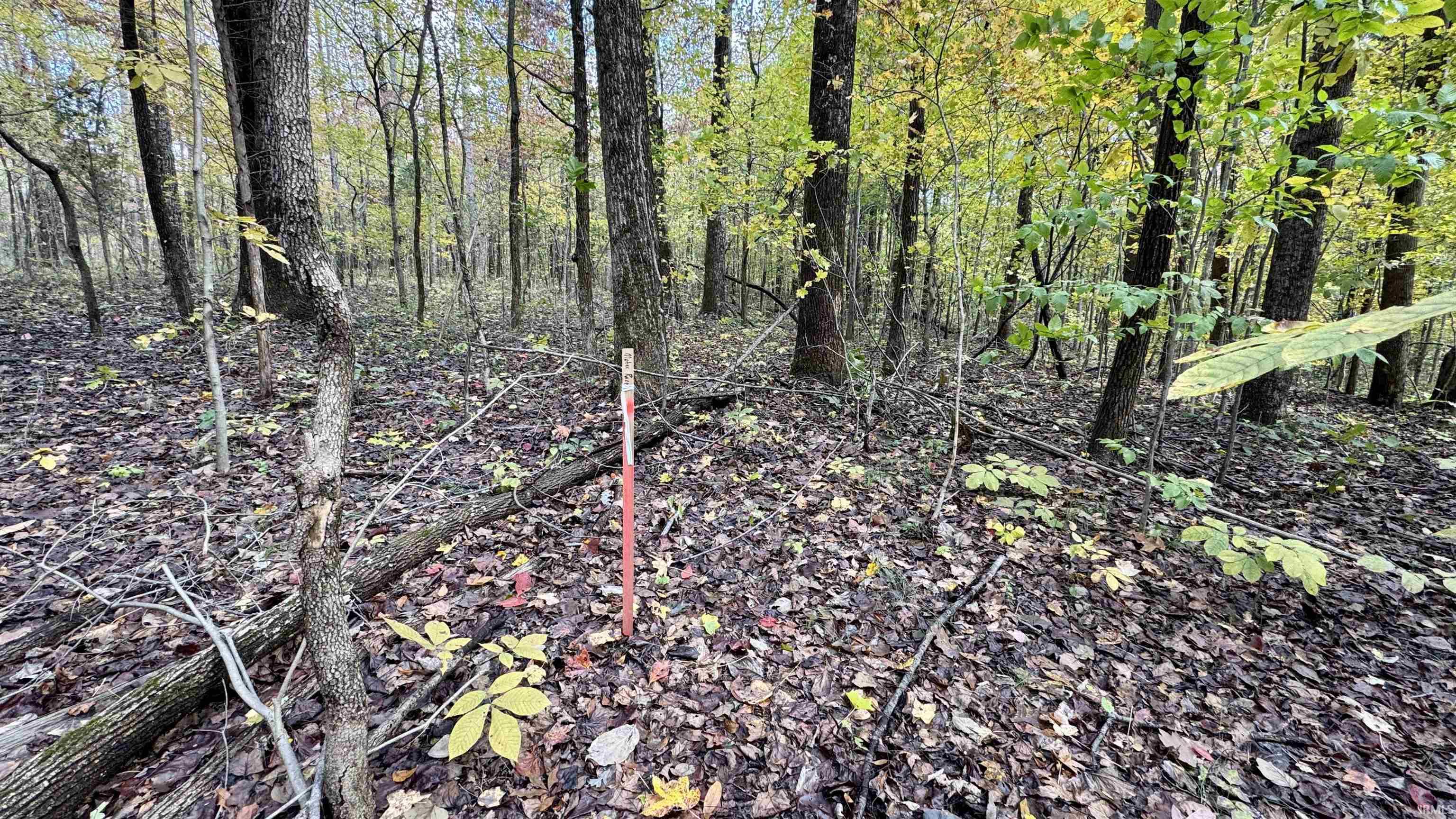 Off North St Peters Church Road Evanston, IN 47531 - Photo 25 of 31