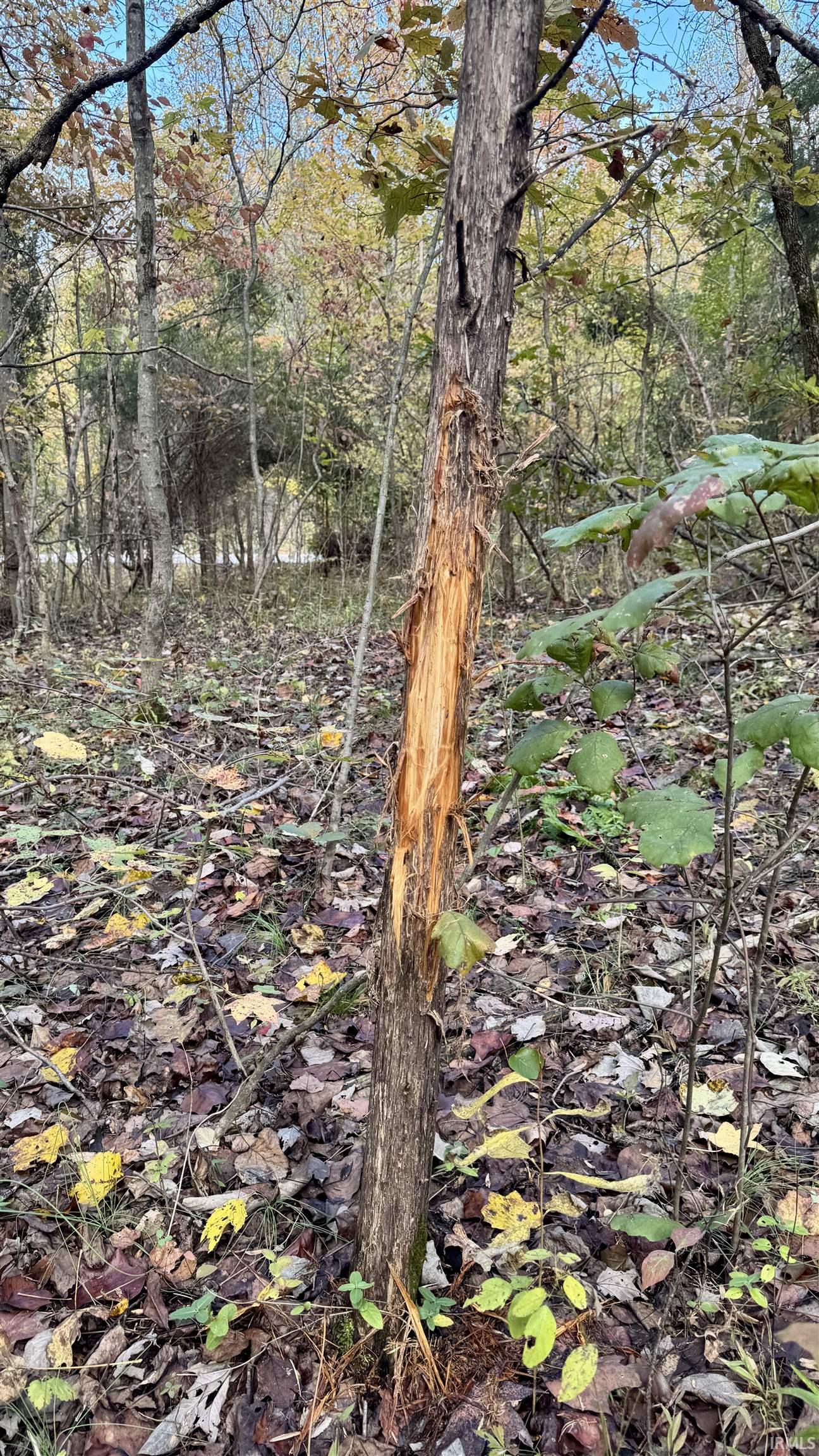 Off North St Peters Church Road Evanston, IN 47531 - Photo 28 of 31