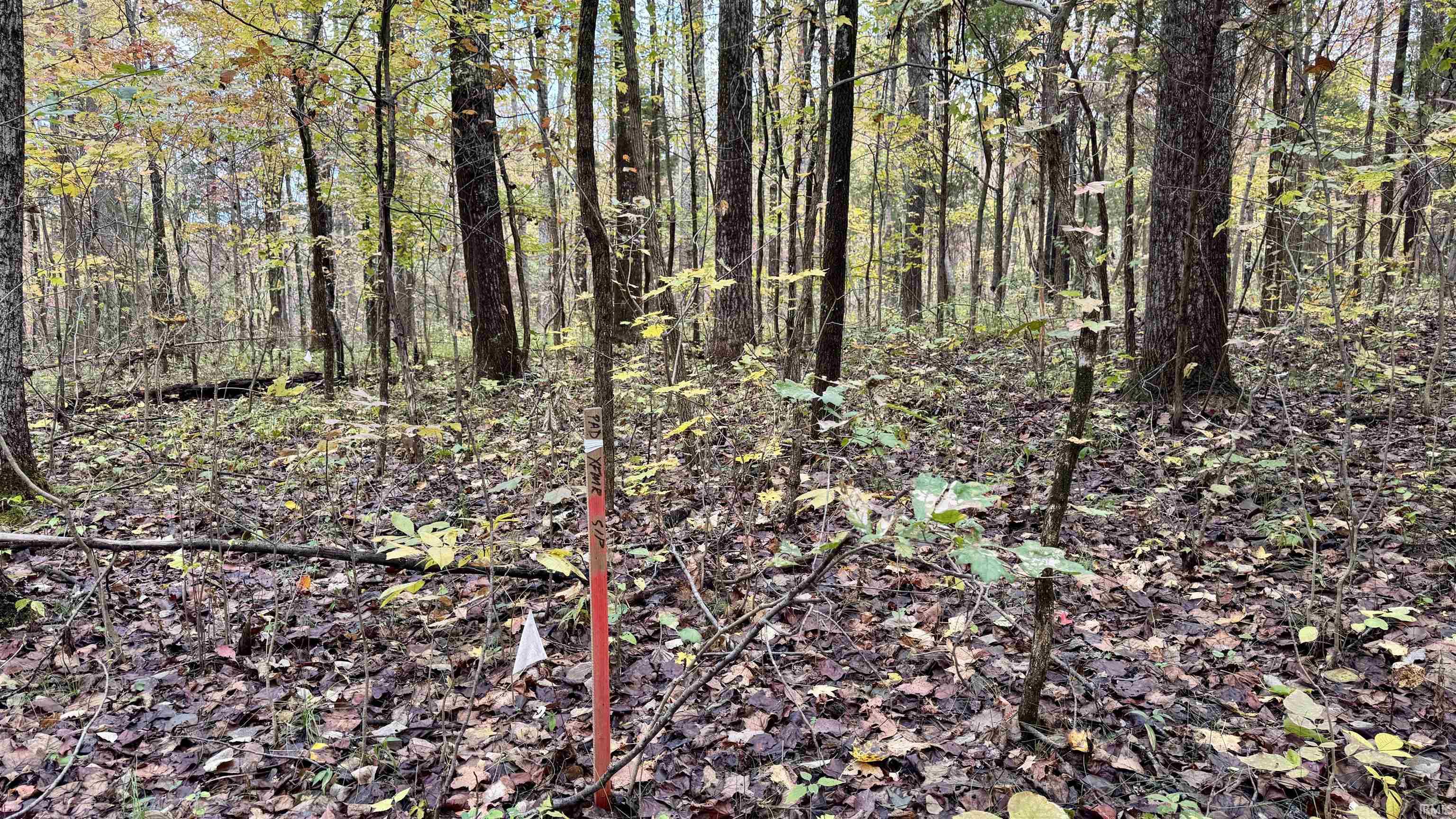 Off North St Peters Church Road Evanston, IN 47531 - Photo 6 of 31