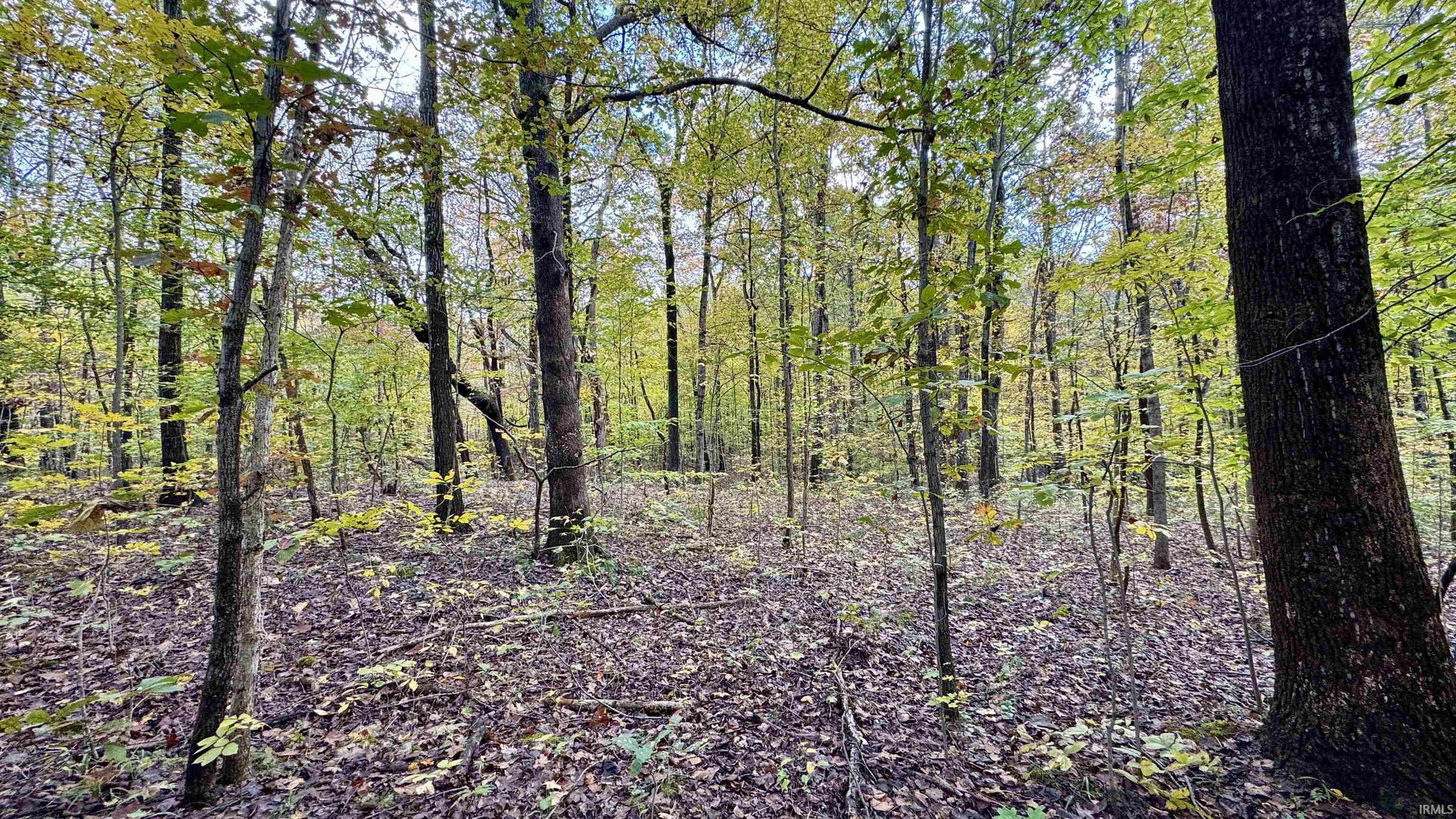 Off North St Peters Church Road Evanston, IN 47531 - Photo 7 of 31