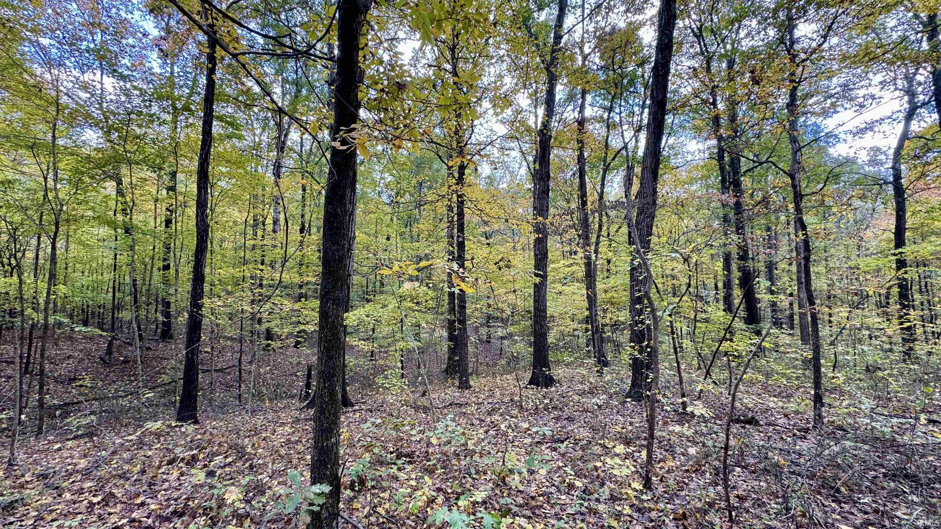 Off North St Peters Church Road Evanston, IN 47531 - Photo 8 of 31