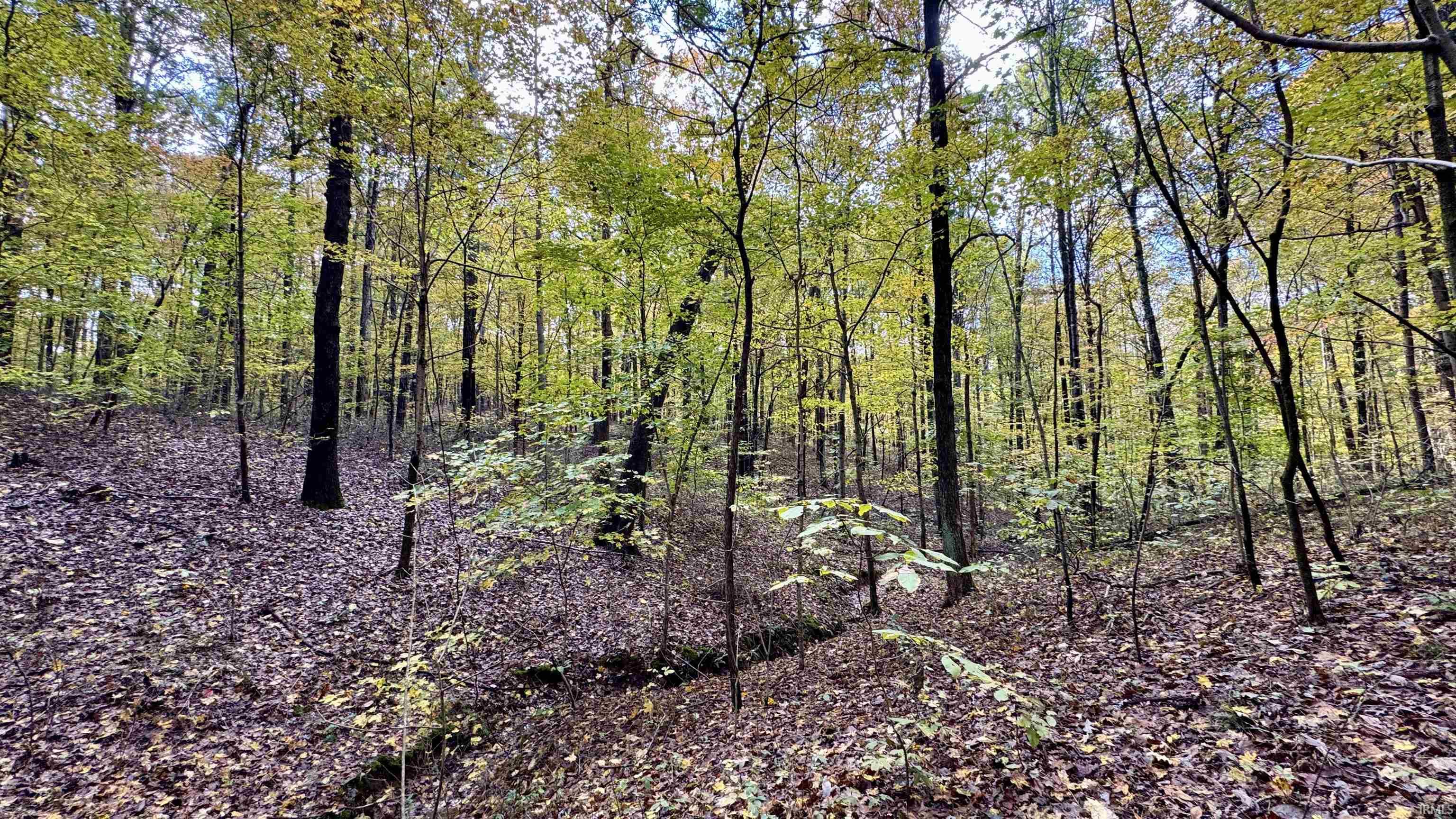 Off North St Peters Church Road Evanston, IN 47531 - Photo 9 of 31