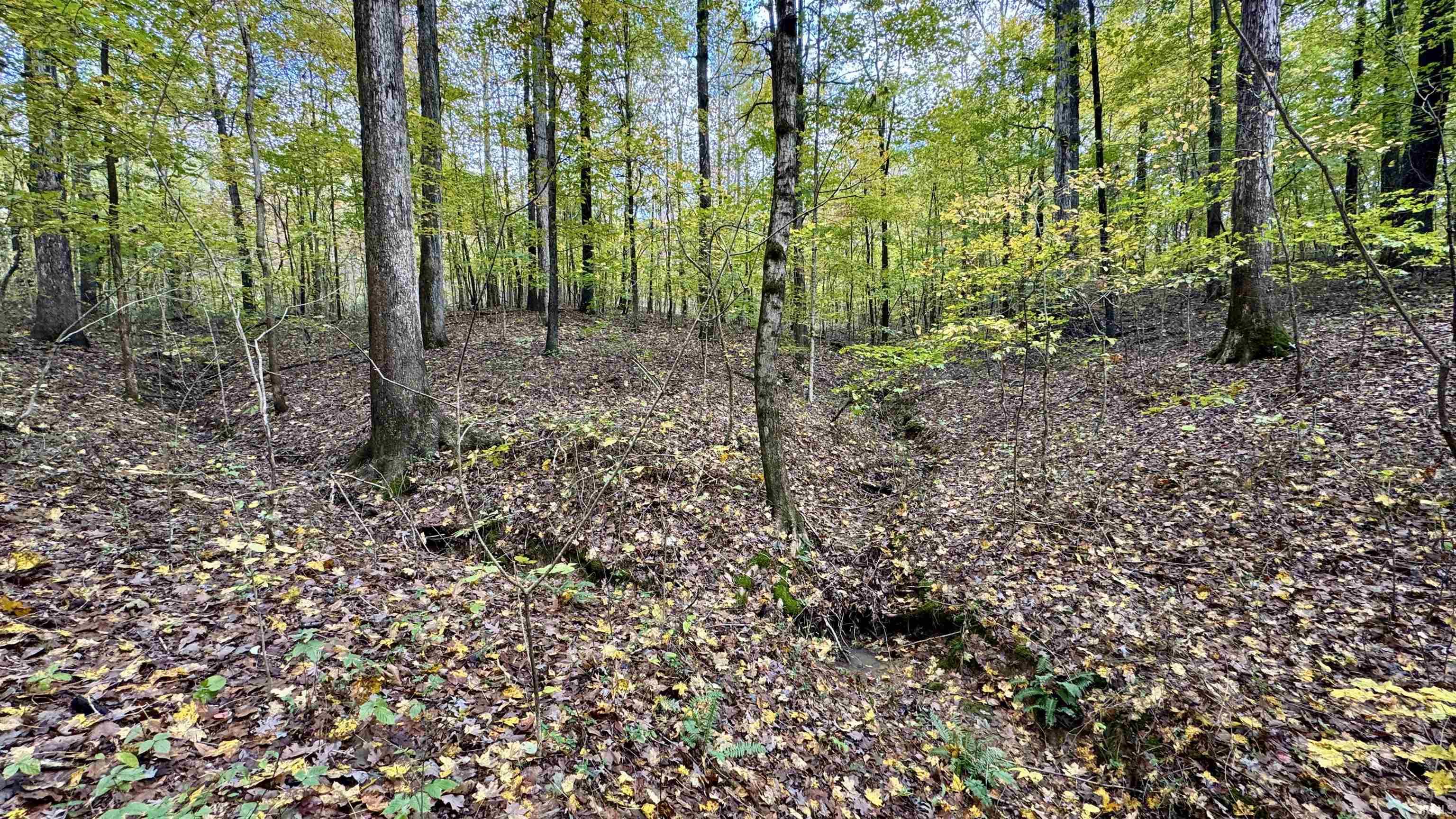 Off North St Peters Church Road Evanston, IN 47531 - Photo 10 of 31