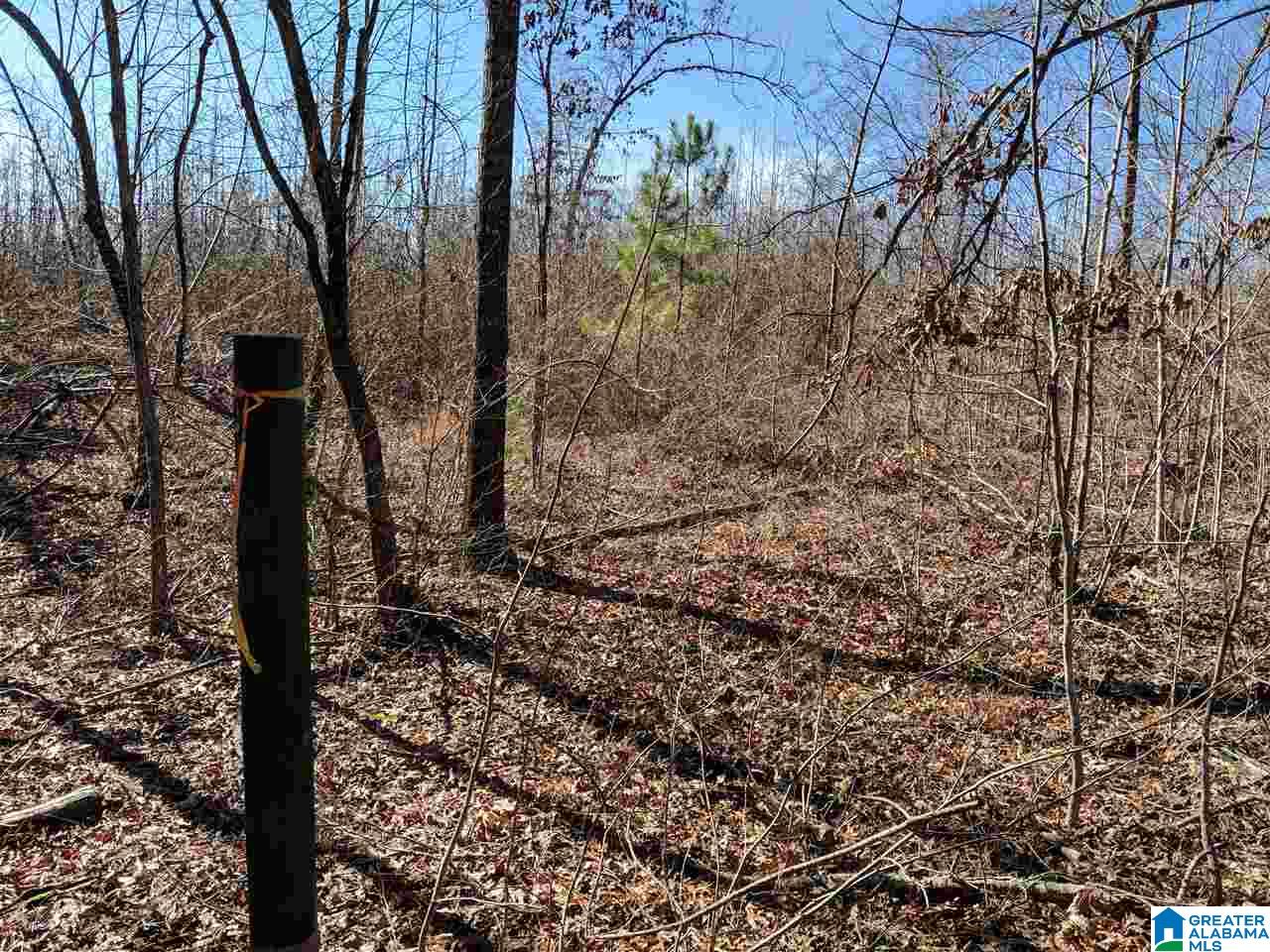 266 County Road, Unit 10 Wedowee, AL 36278 - Photo 1 of 6