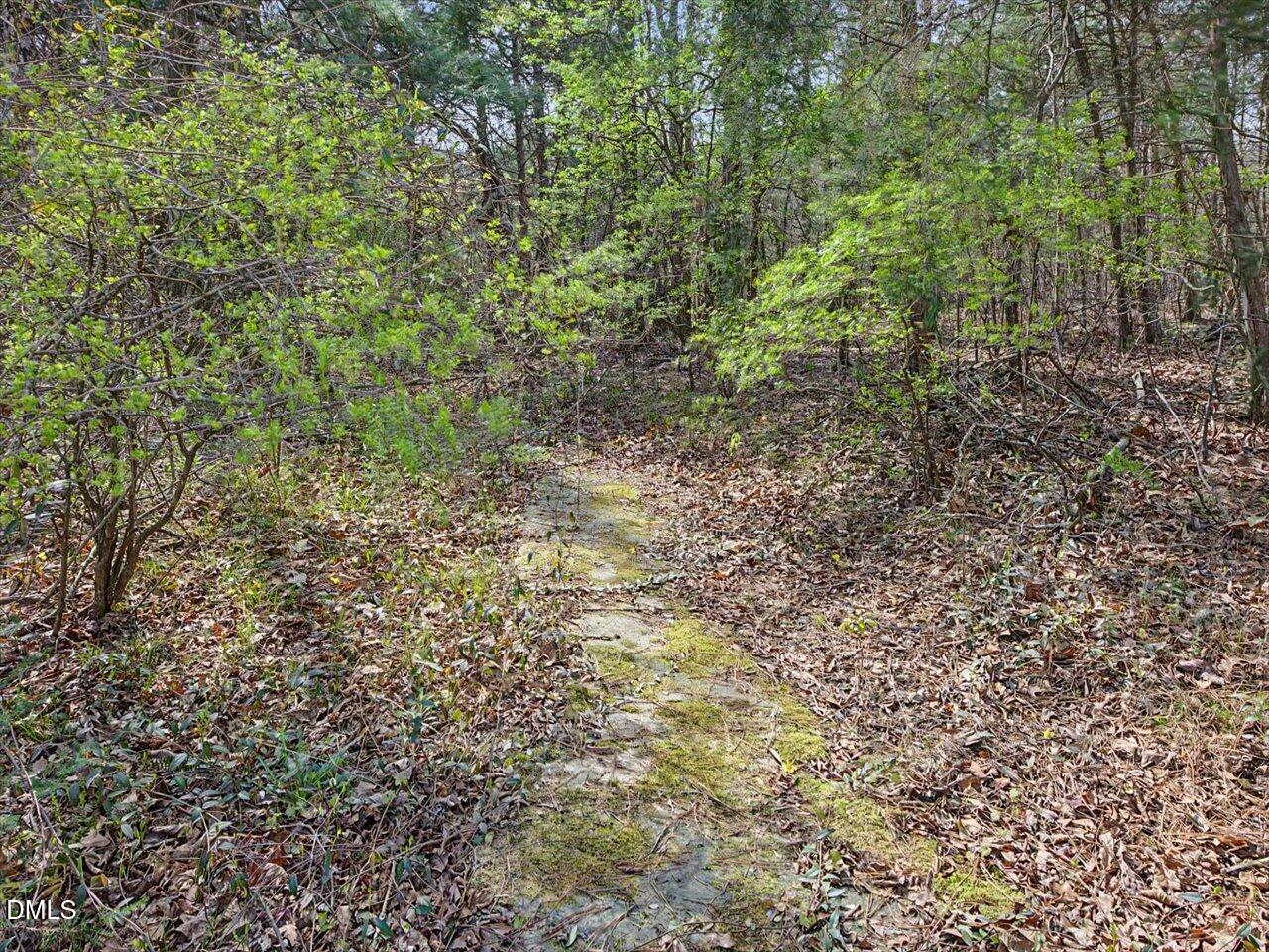 5324 Maplemoor Way Raleigh, NC 27616 - Photo 63 of 80 65-Bordering Wooded Land