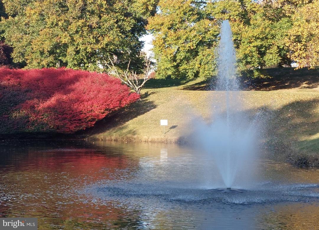15101 Interlachen Drive, Unit 1807 Silver Spring, MD 20906 - Photo 42 of 50 a view of a yard