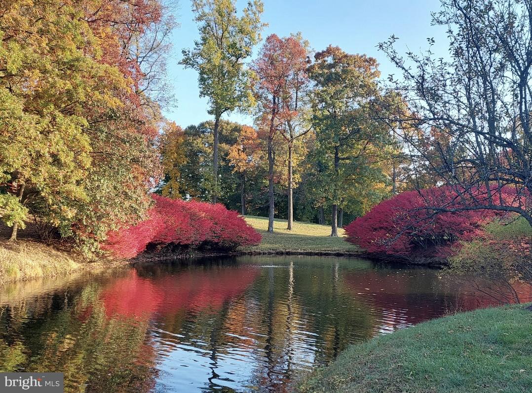 15101 Interlachen Drive, Unit 1807 Silver Spring, MD 20906 - Photo 44 of 50 a view of lake with houses