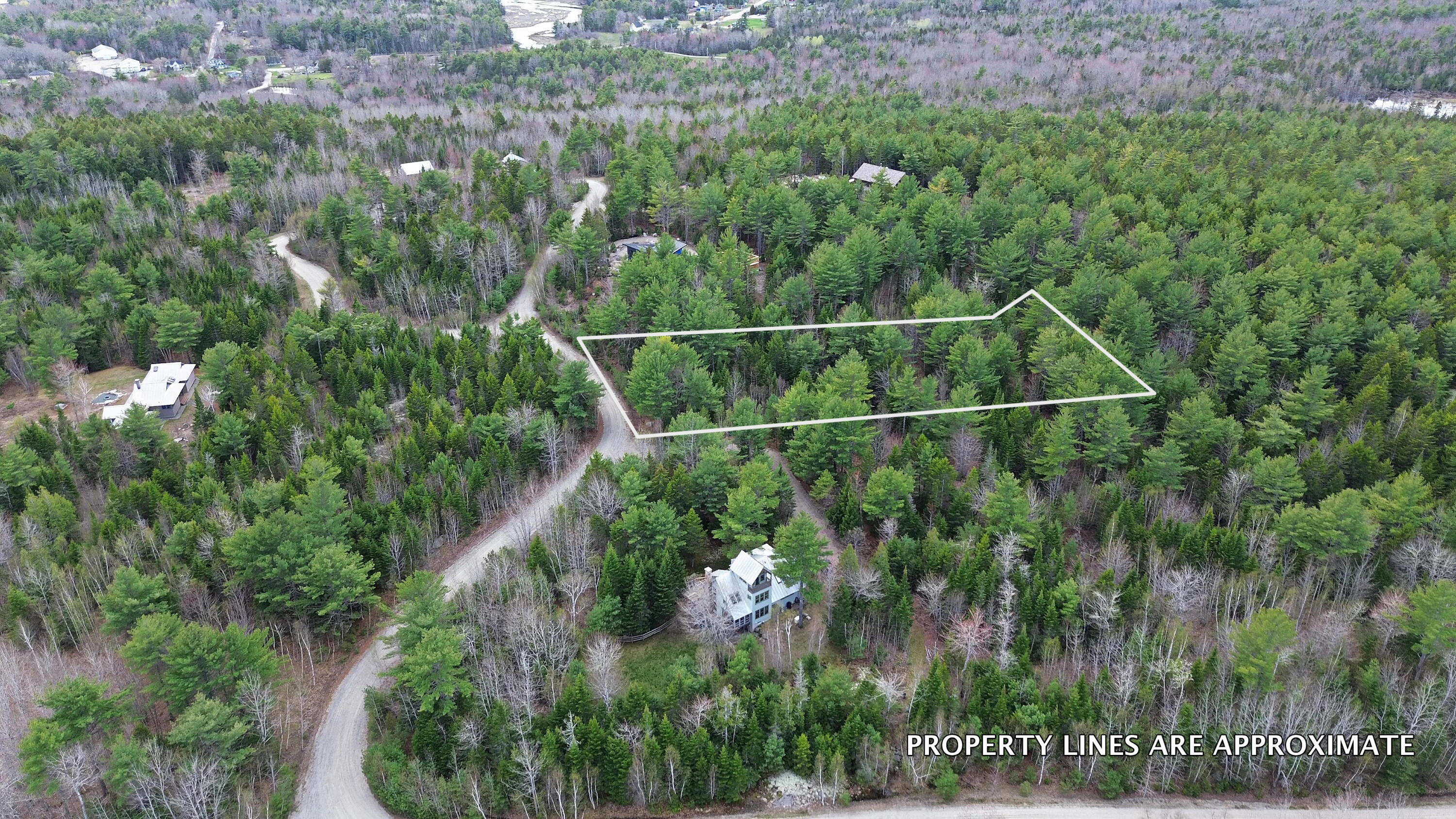 Lot 4 Bailey Mountain Road Franklin, ME 04634 - Photo 9 of 14