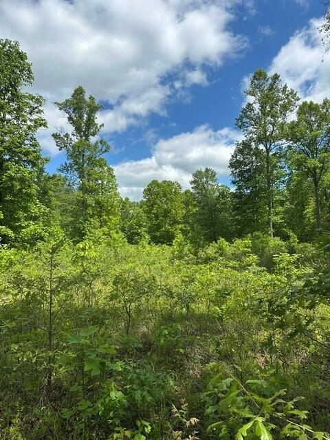 142 Cole Road Deer Lodge, TN 37726 - Photo 35 of 77 40