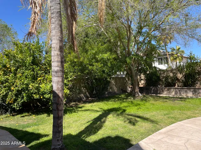 $5,995 | 5422 East Muriel Drive, Scottsdale, AZ 85254