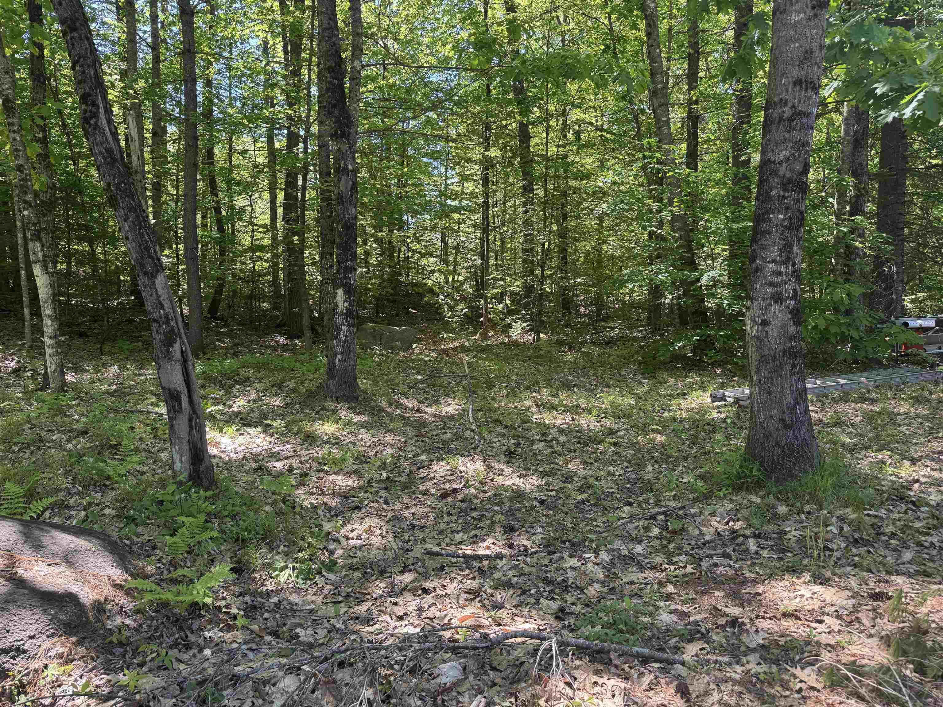 36 Moose Ridge Road Ossipee, NH 03864 - Photo 31 of 58