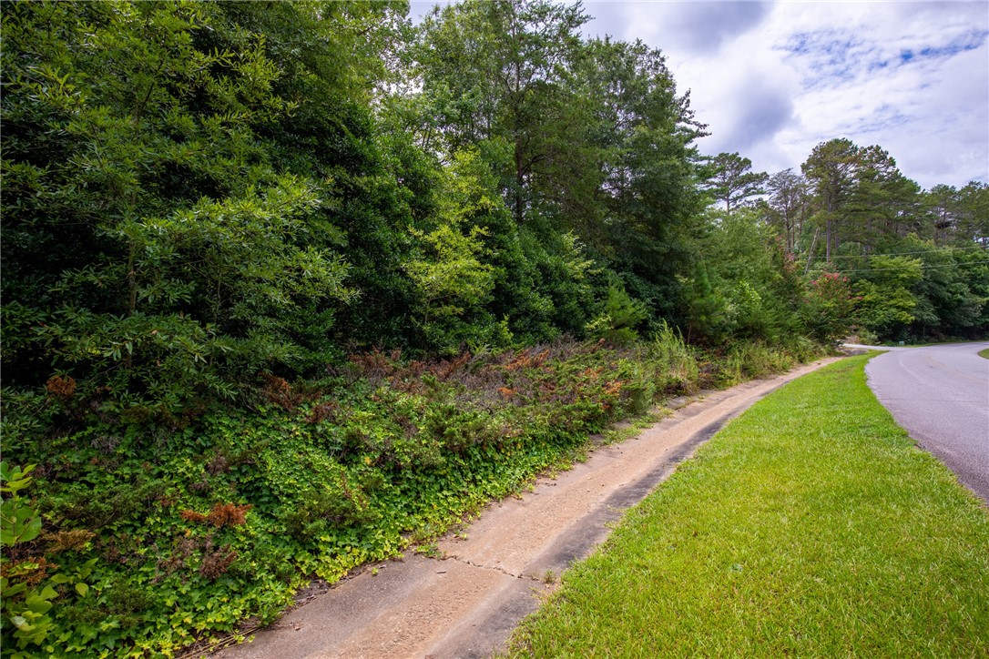 647 Bethlehem School Road Pickens, SC 29671 - Photo 1 of 26